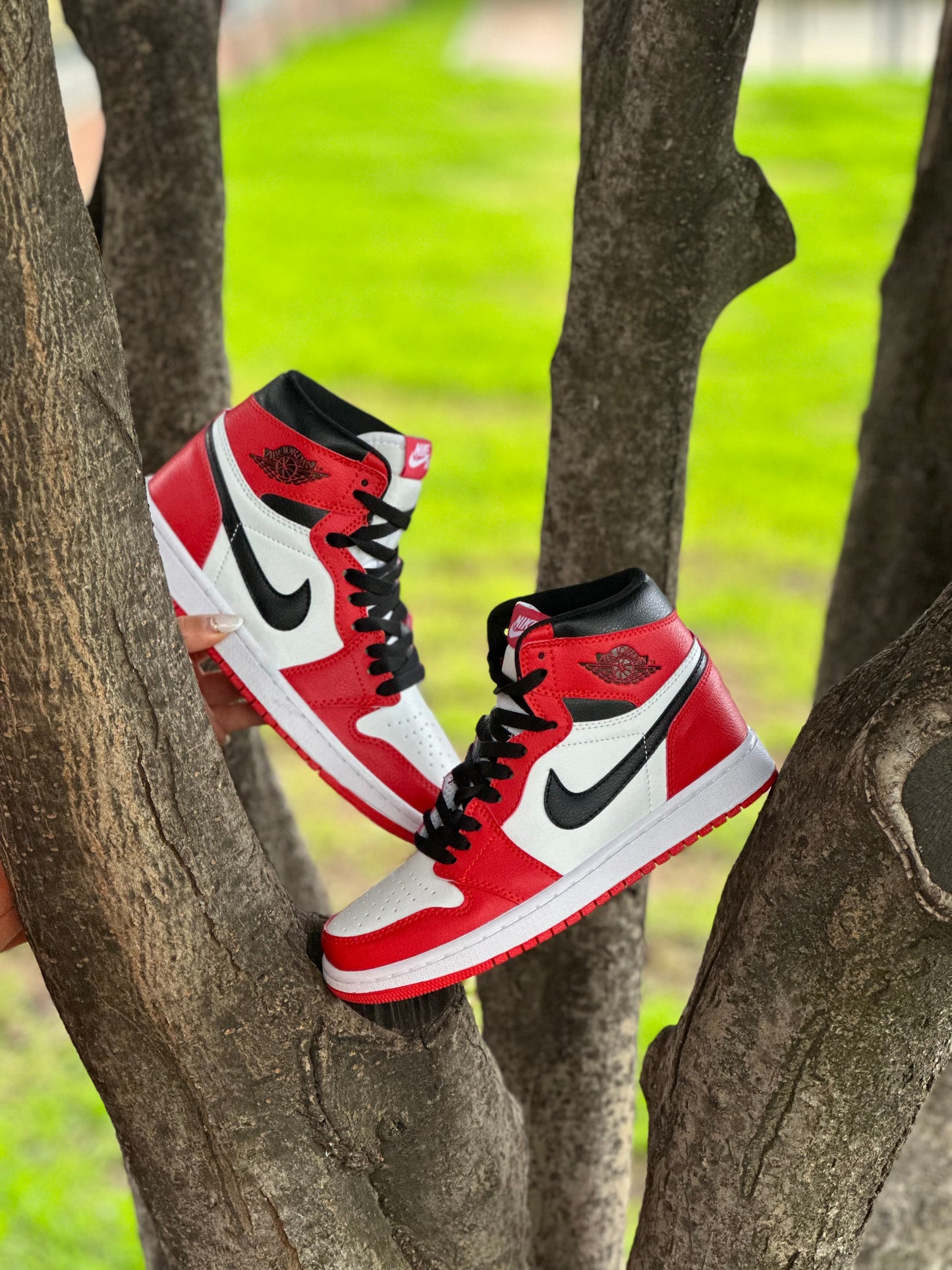 Nike Air Jordan Retro 1