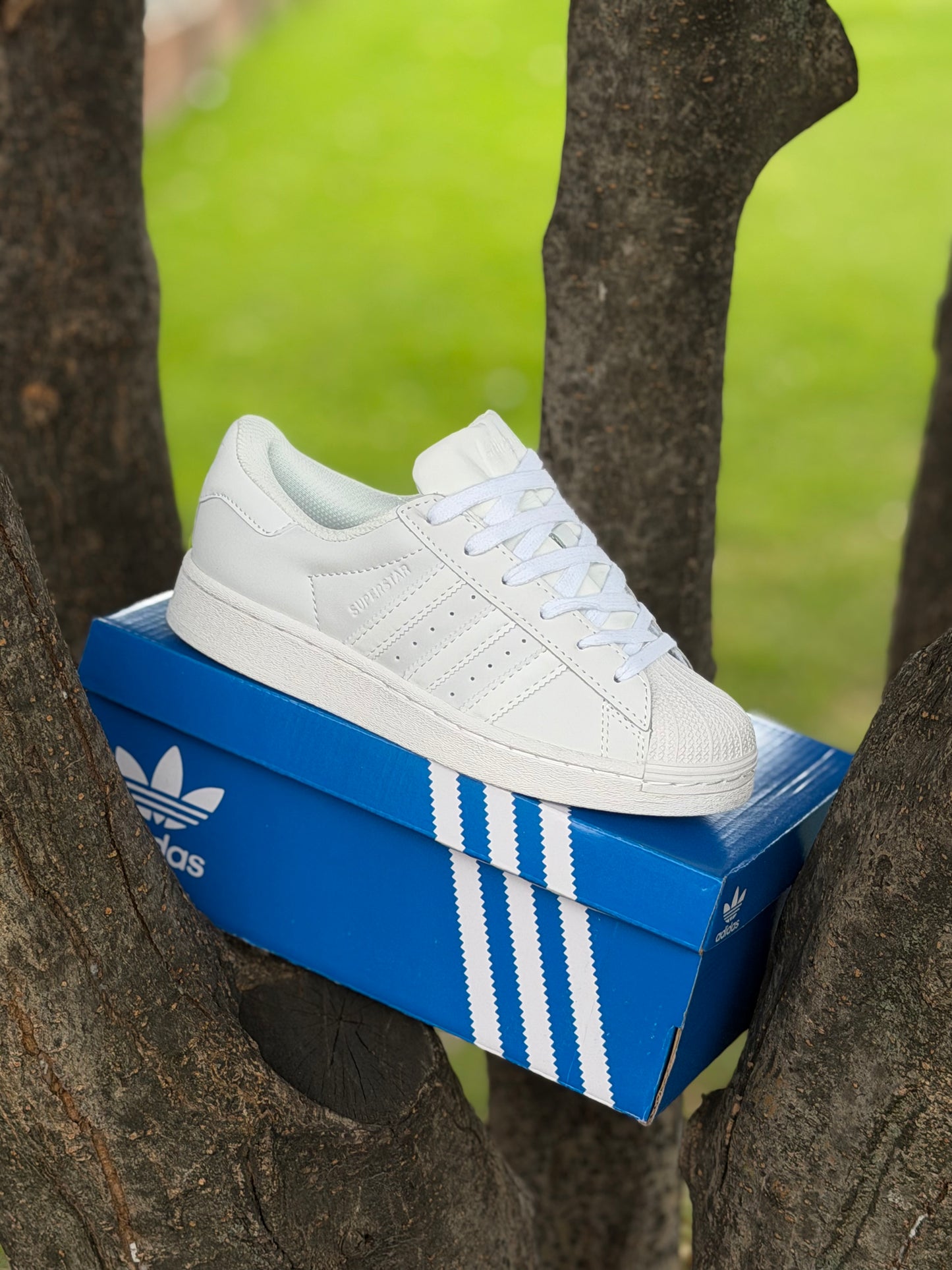 Adidas Súper Star White