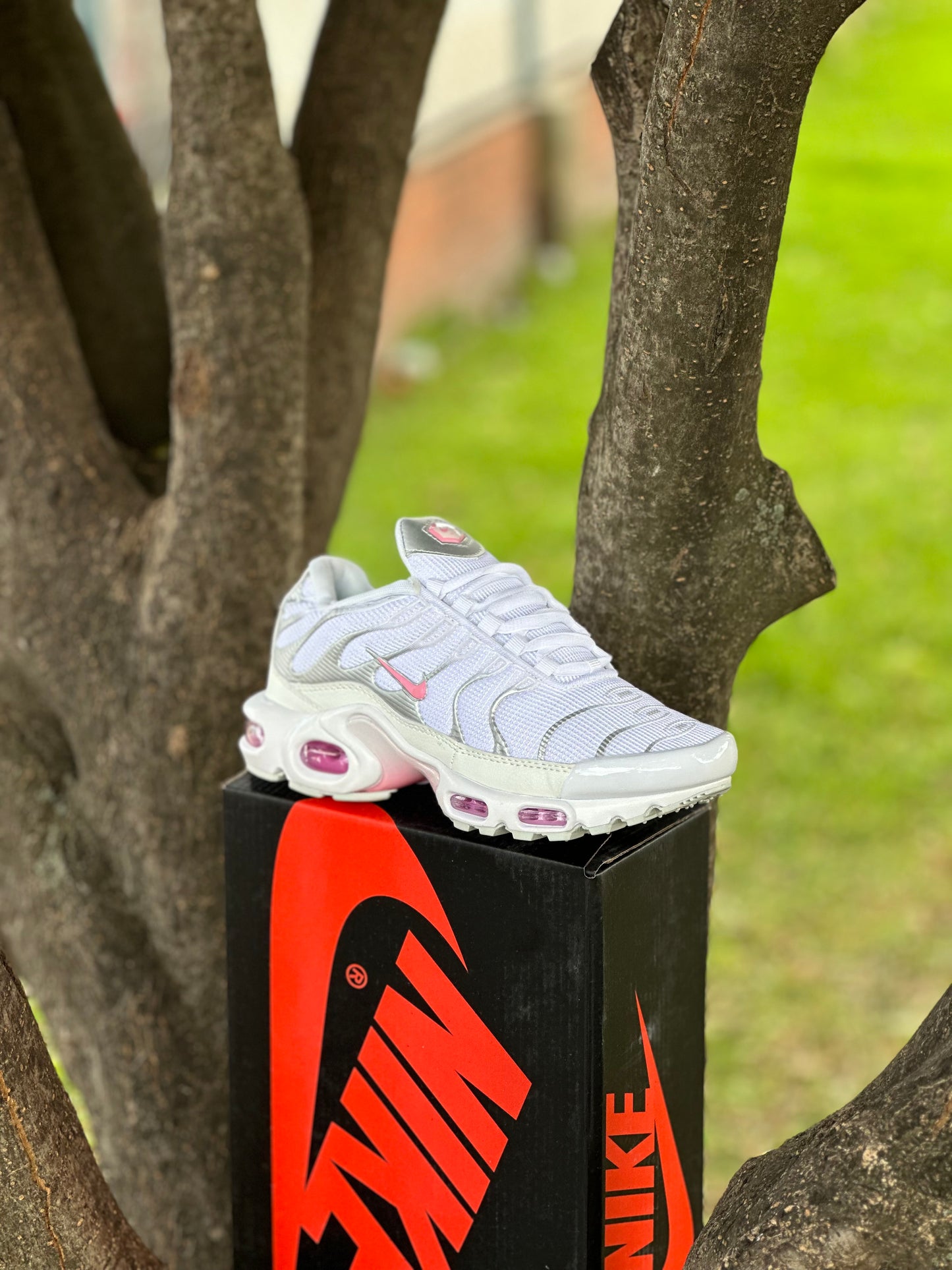 Nike TN Air Max Plus