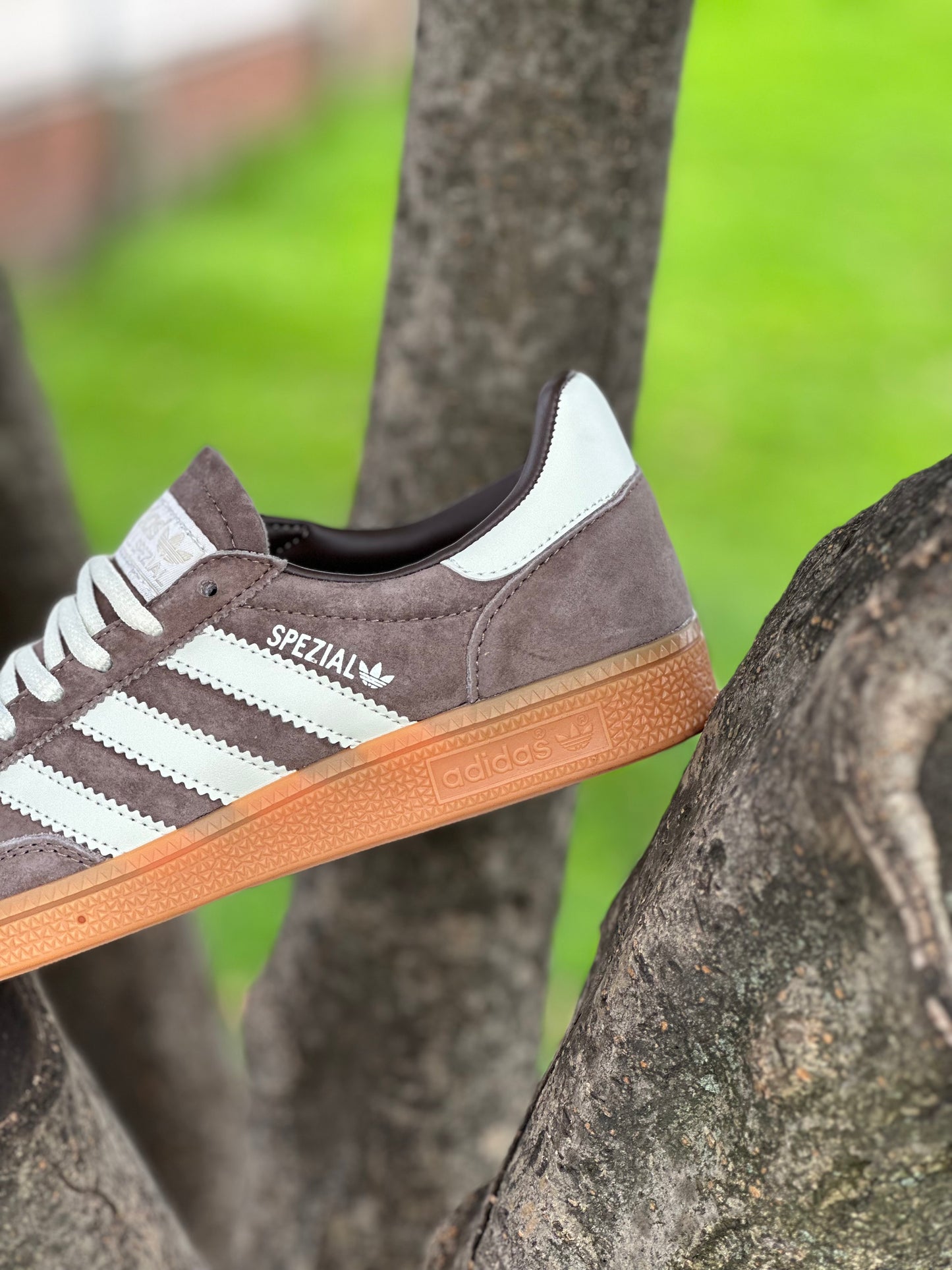 Adidas Spezial Eart Strata