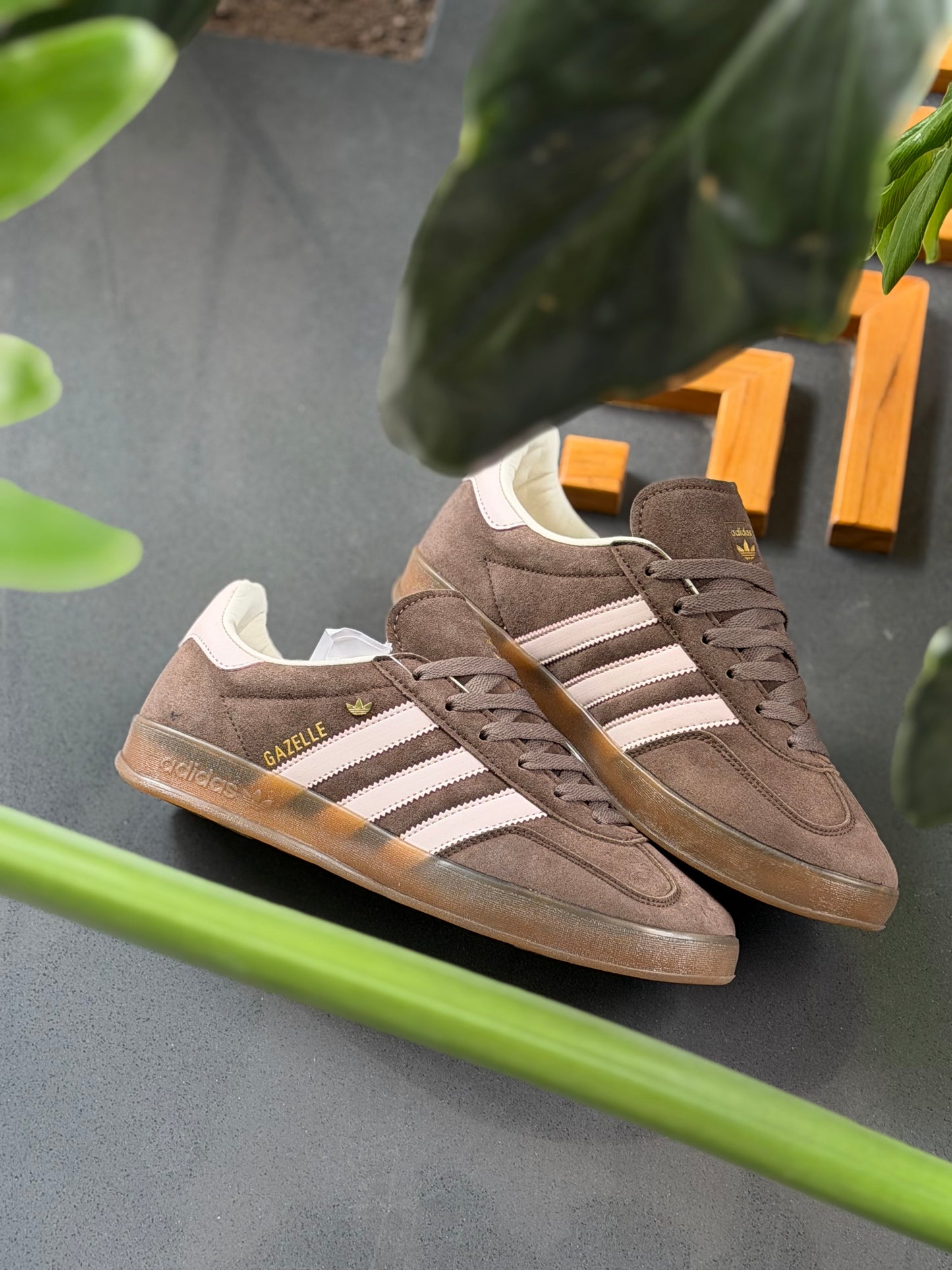 Adidas Gazelle Indoor Marrón