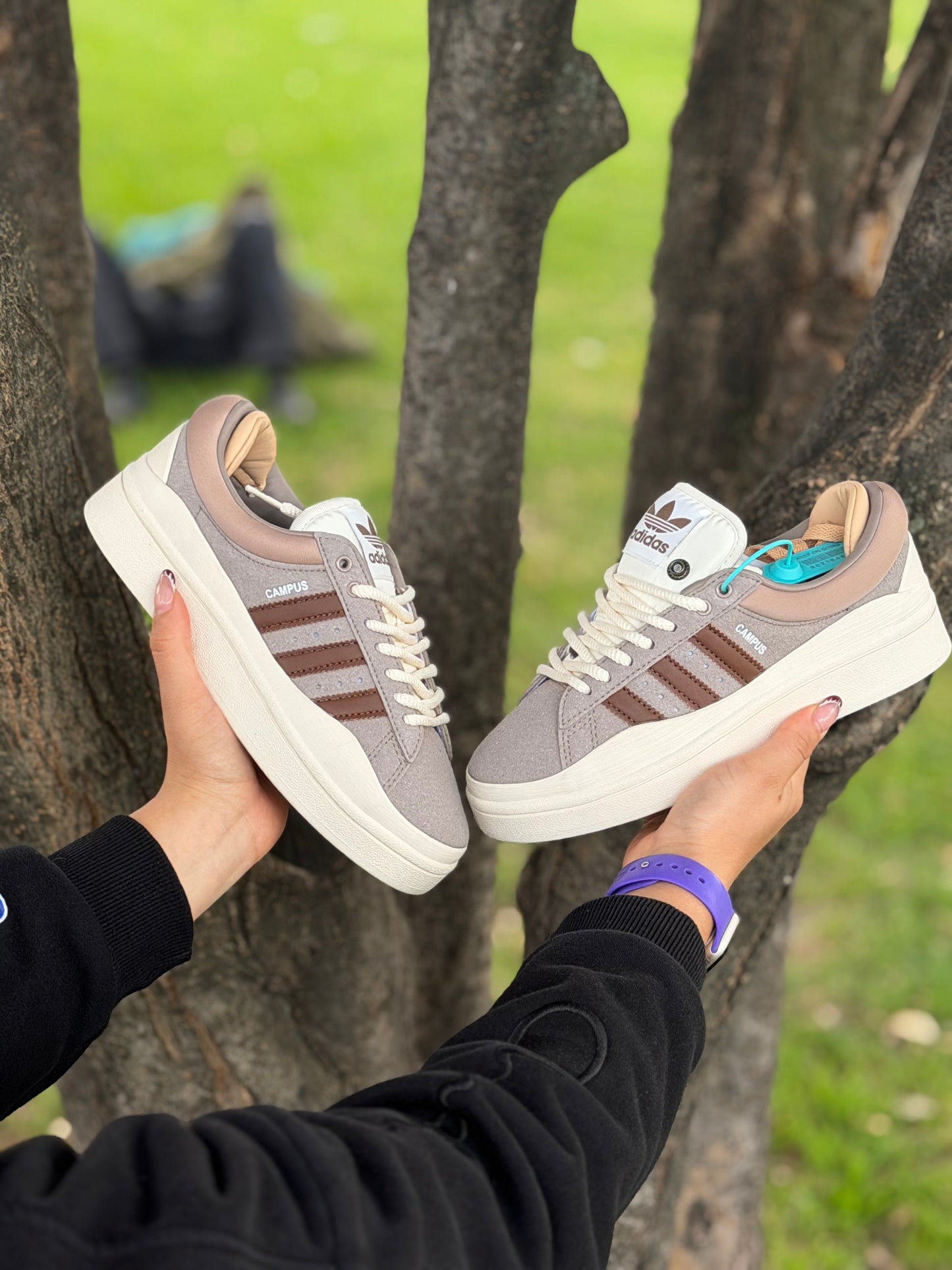 Adidas Bad Bunny The Last Campus