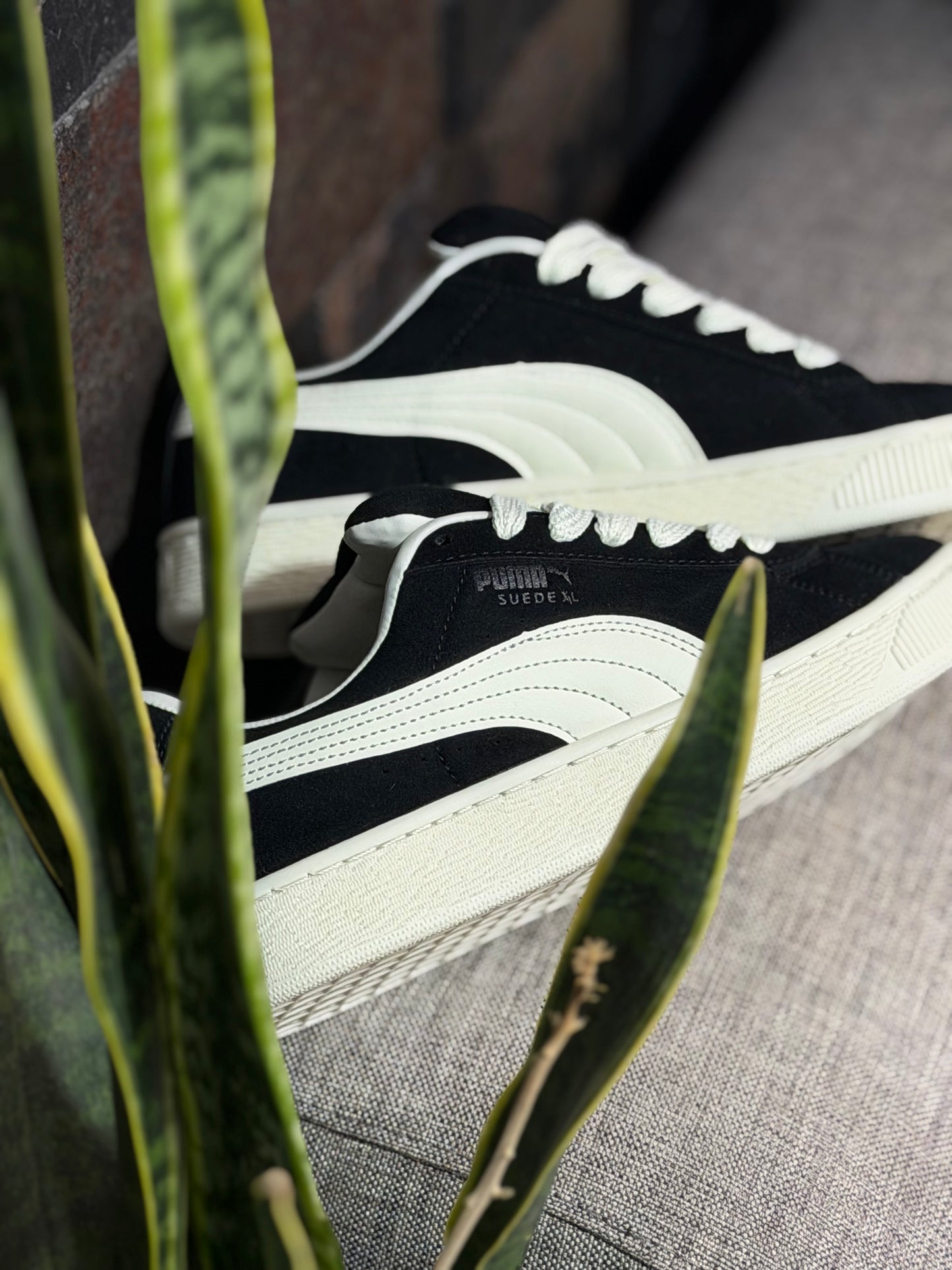 Puma XL Suede