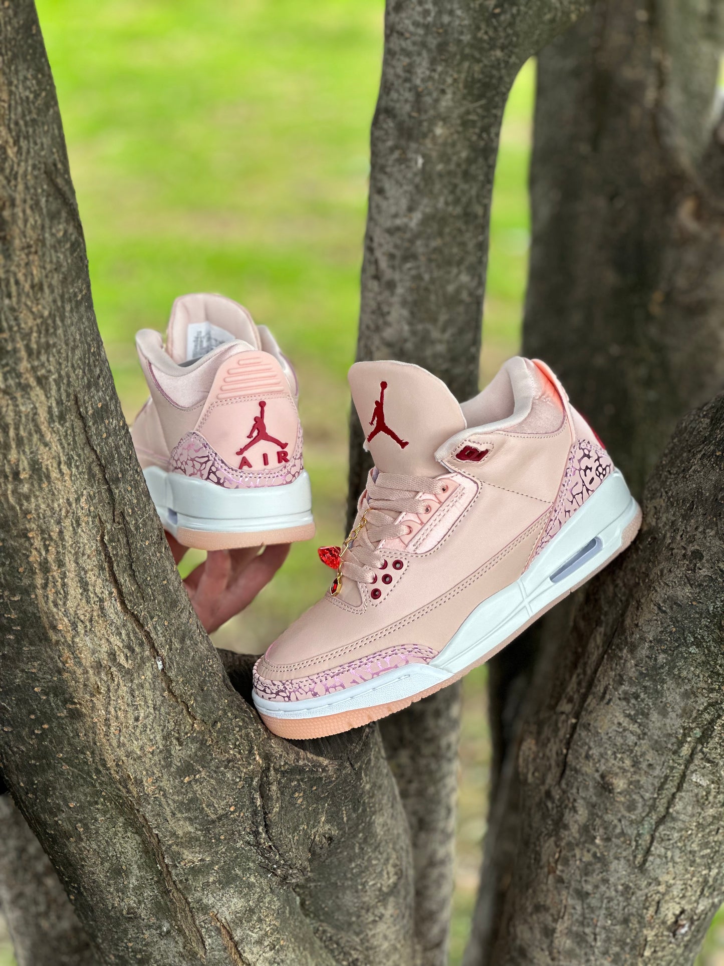 Air Jordan 3 Treat Yourself
