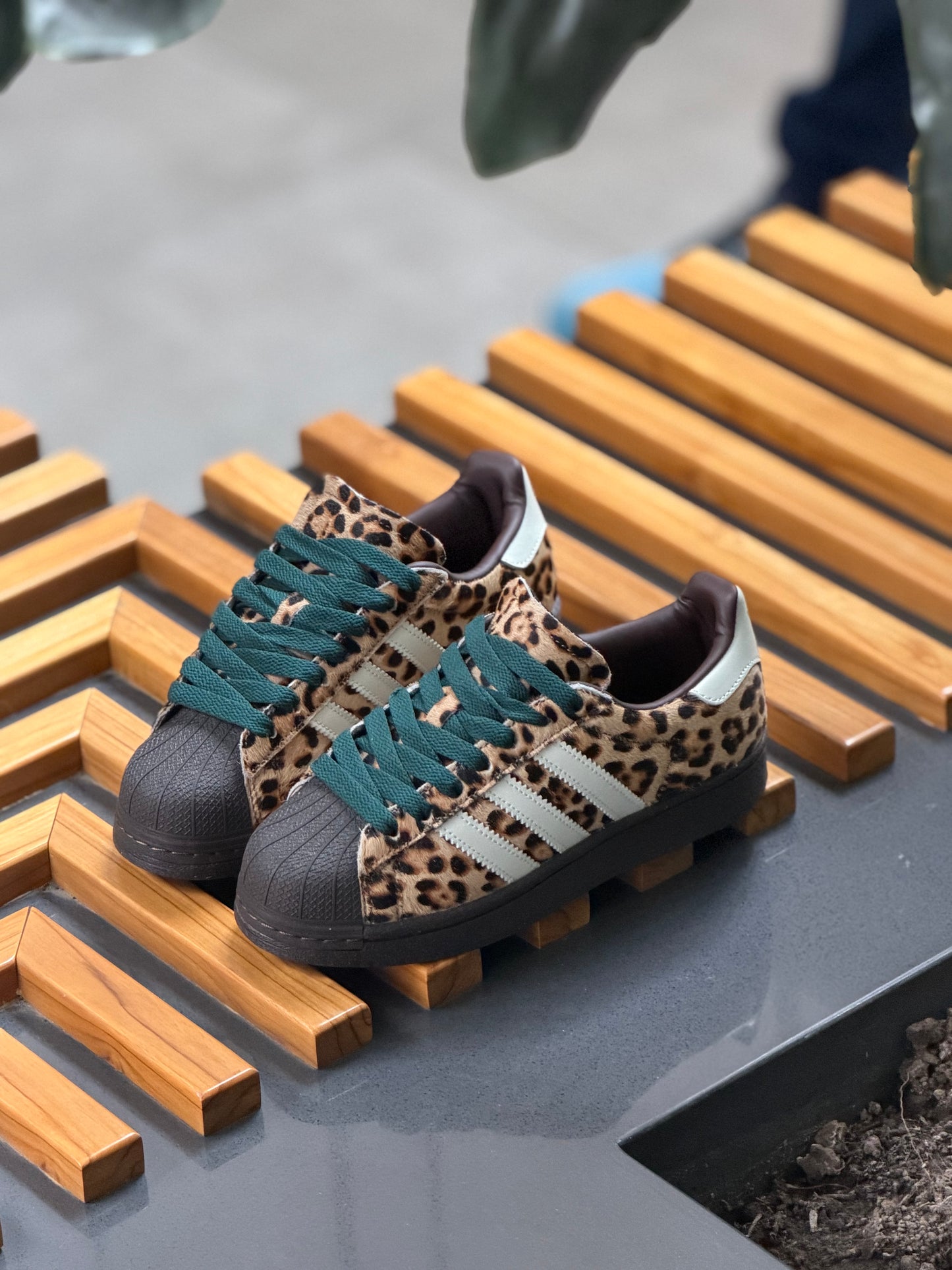 Adidas súper Star ll Leopard