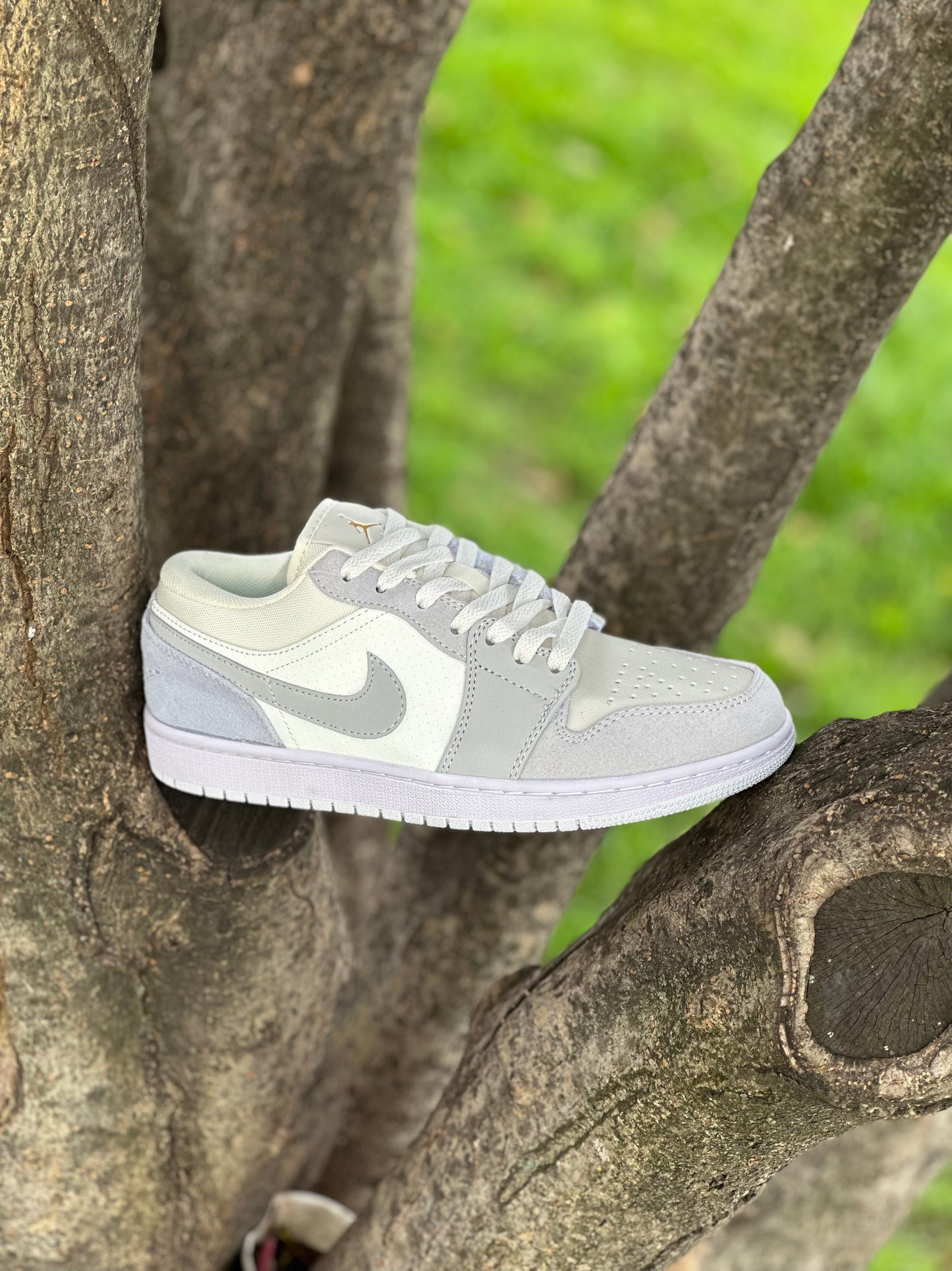 Air Jordan 1 Low Paris