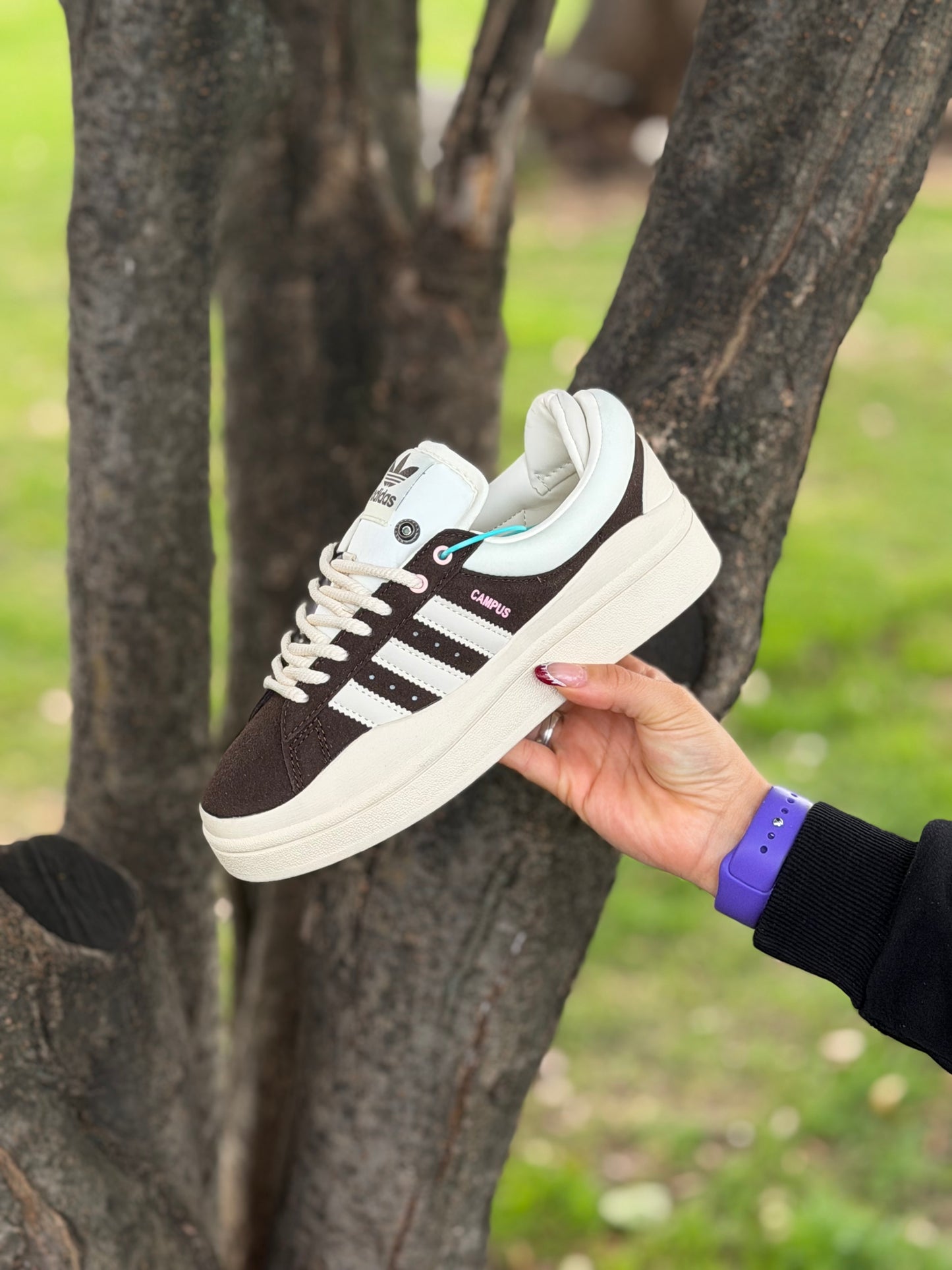 Adidas Campus X Bad Bunny