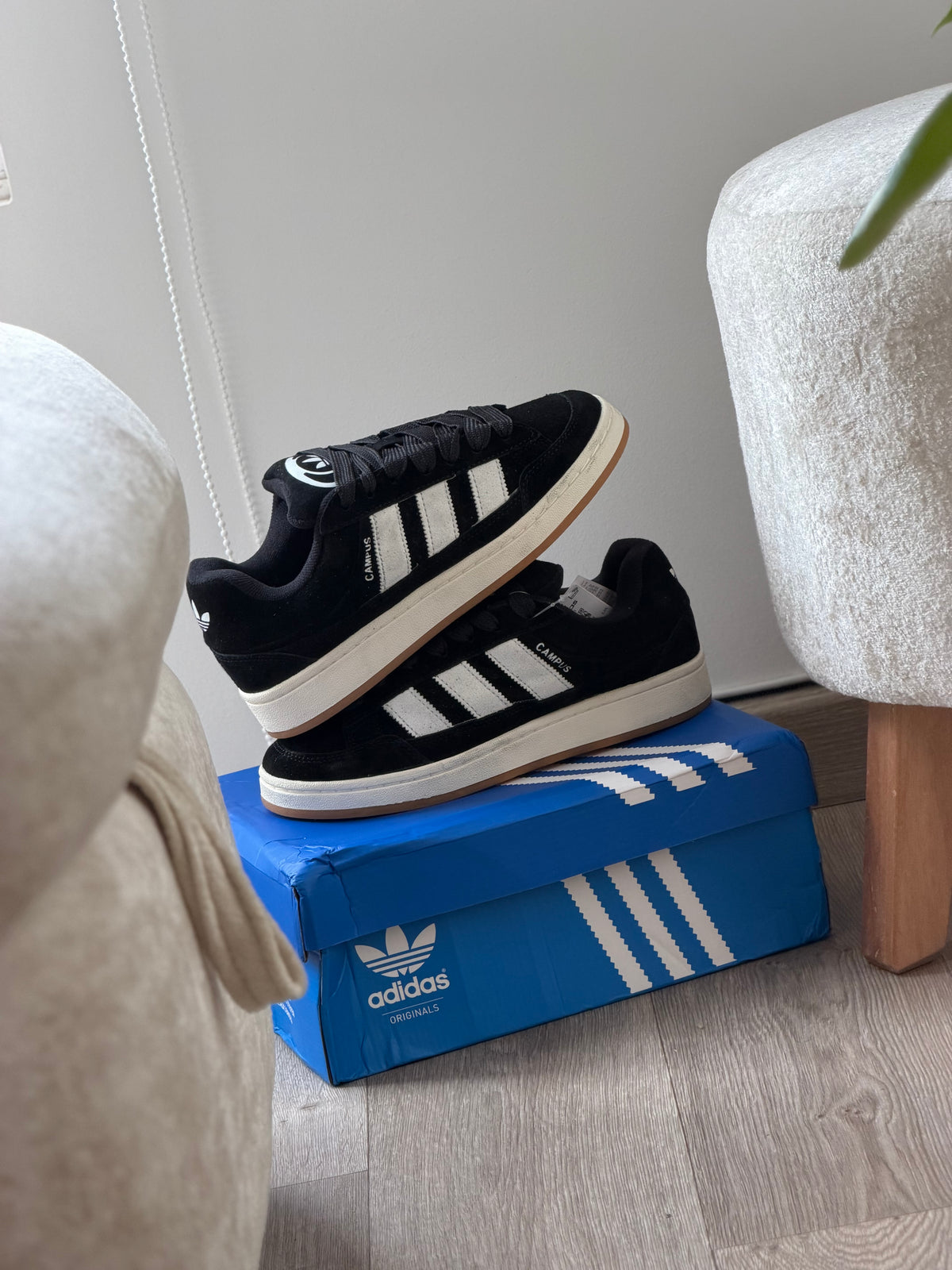 Adidas Campus SK8