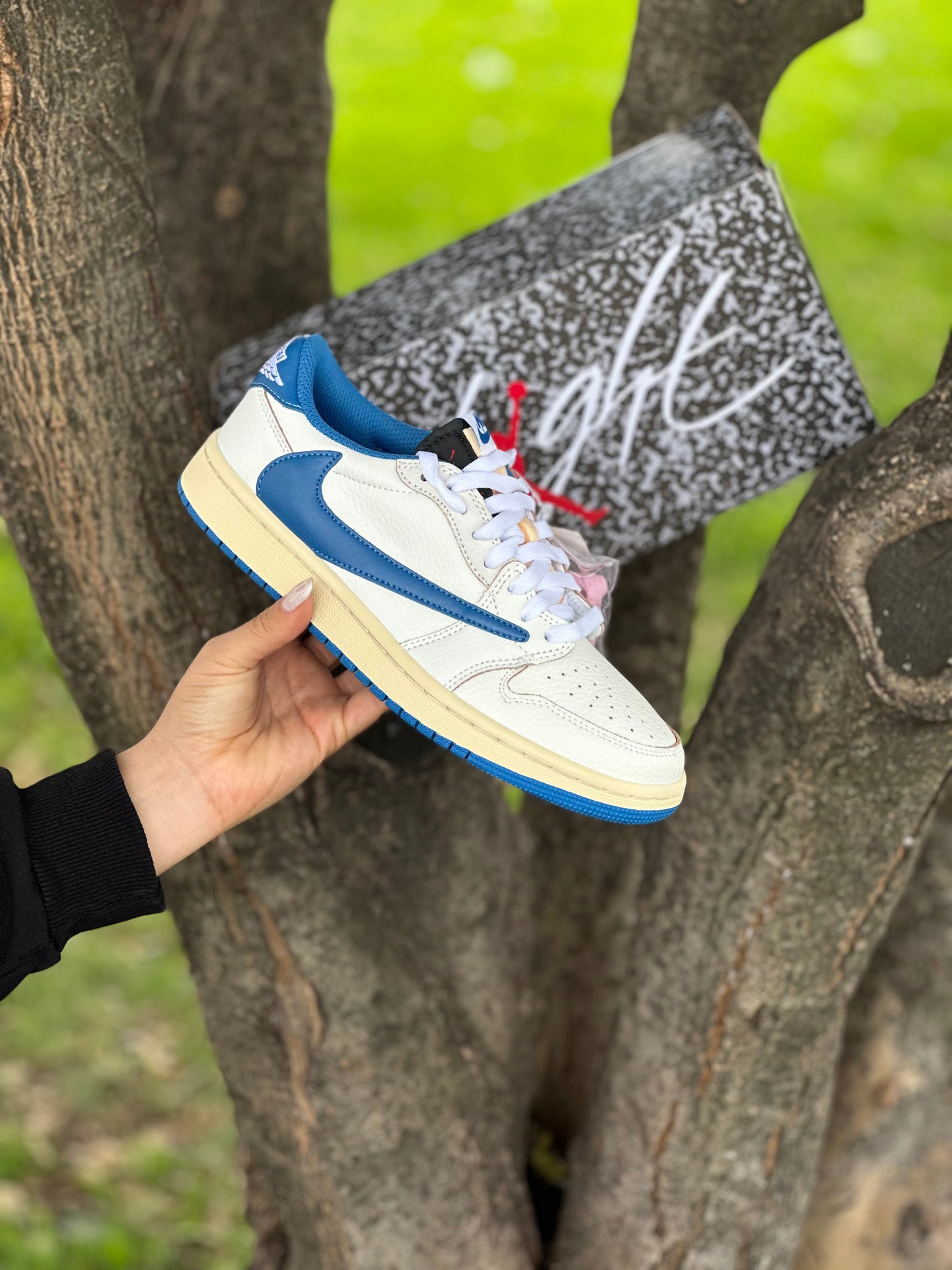 Air Jordan 1 Low Travis