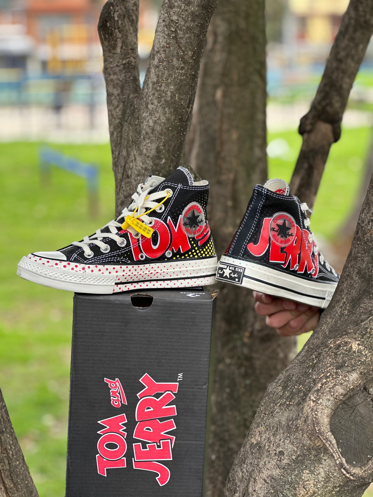 Converse Tom & Jerry