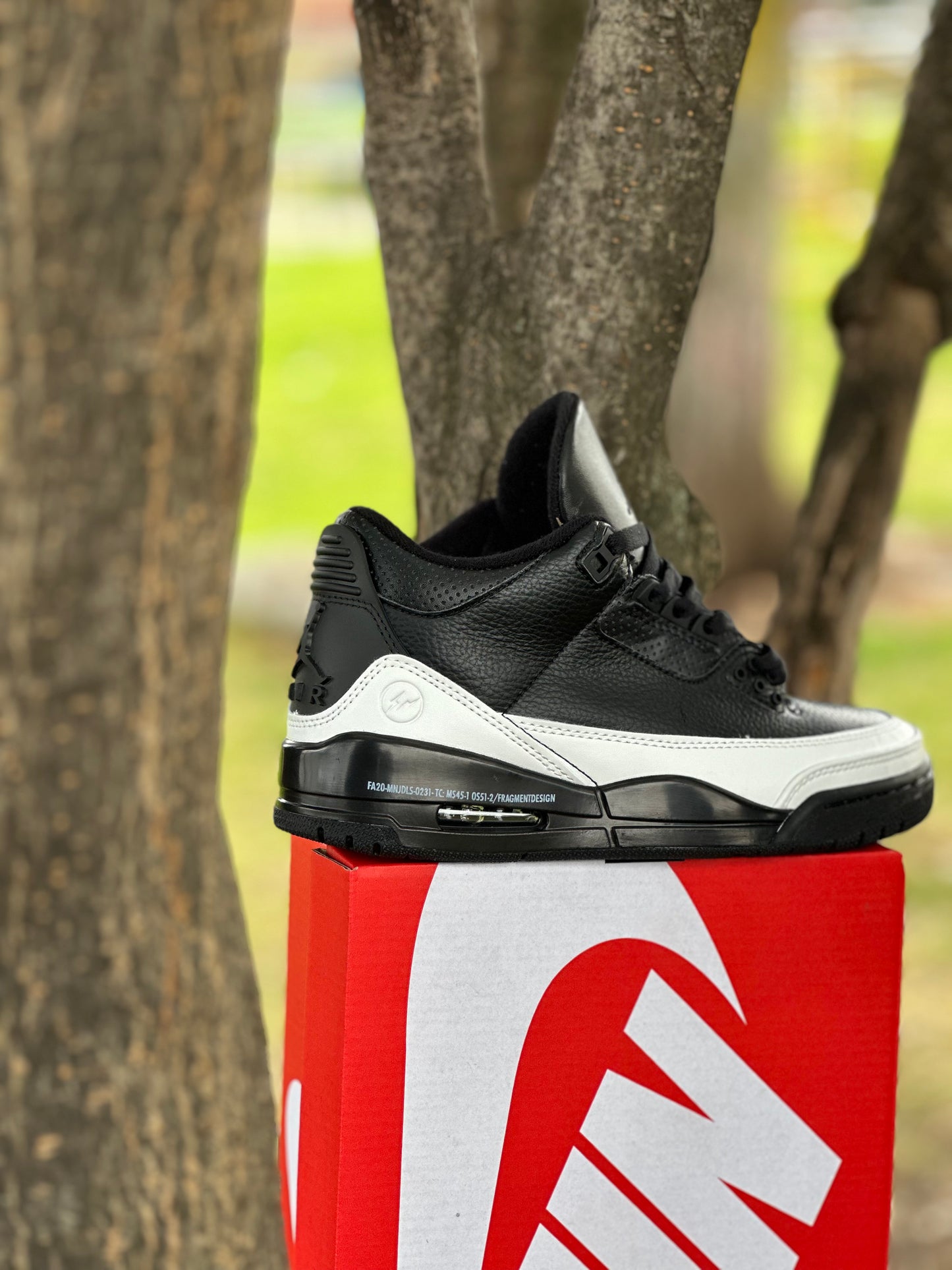 Air Jordan Retro 3 Fragmen