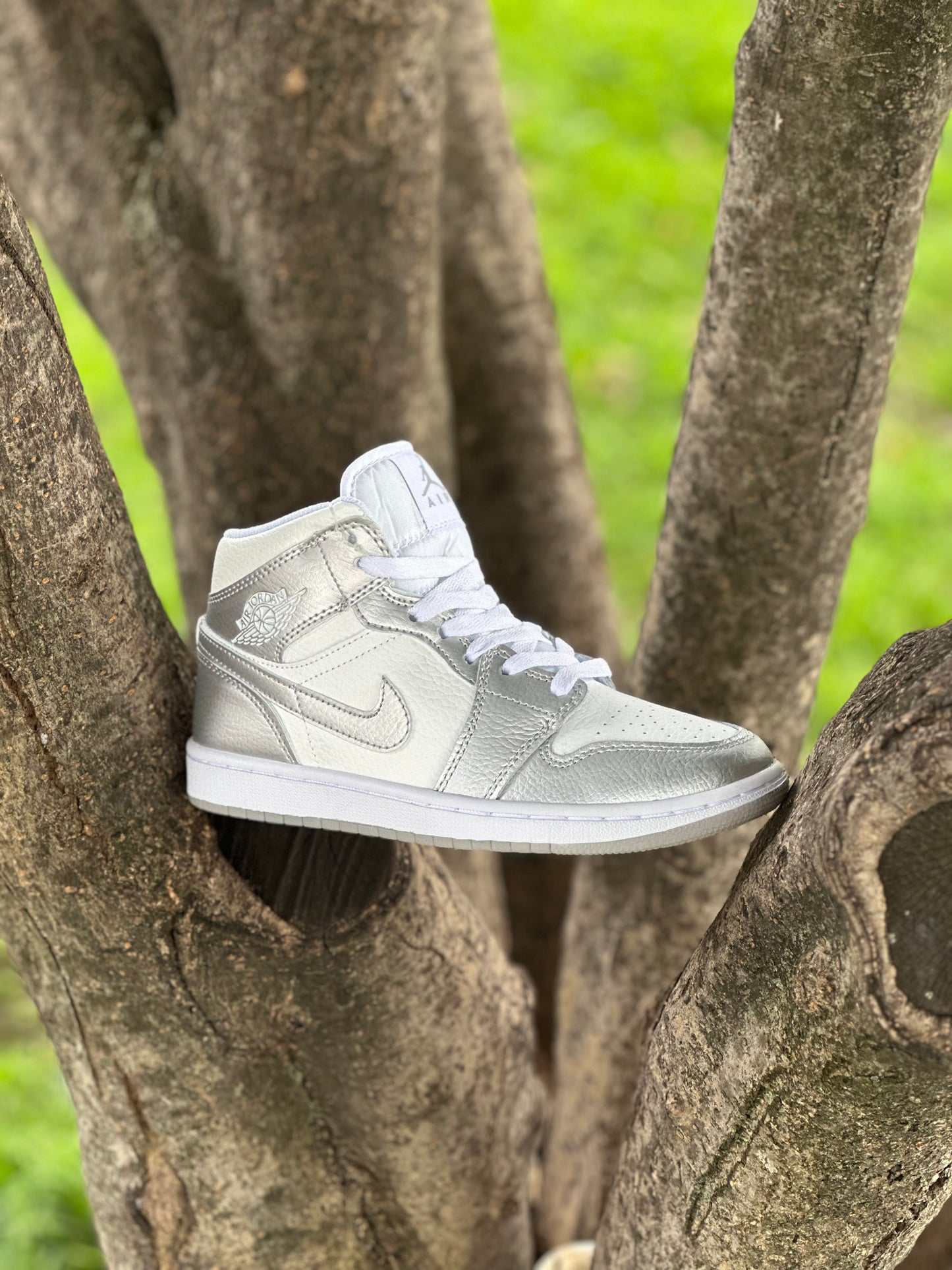 Nike Air Jordan 1 Metallic