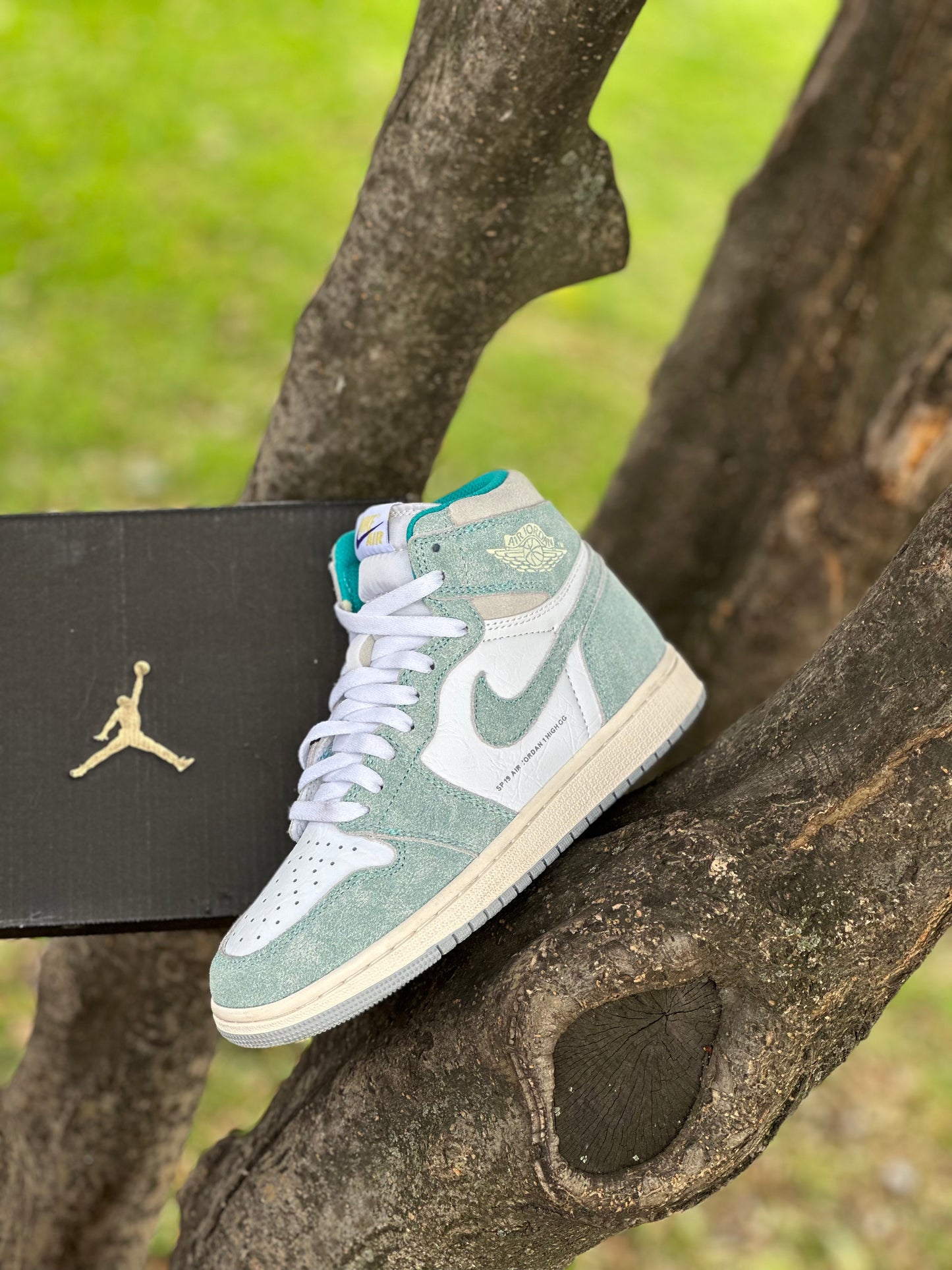 Air Jordan Retro 1 High Turbo Green