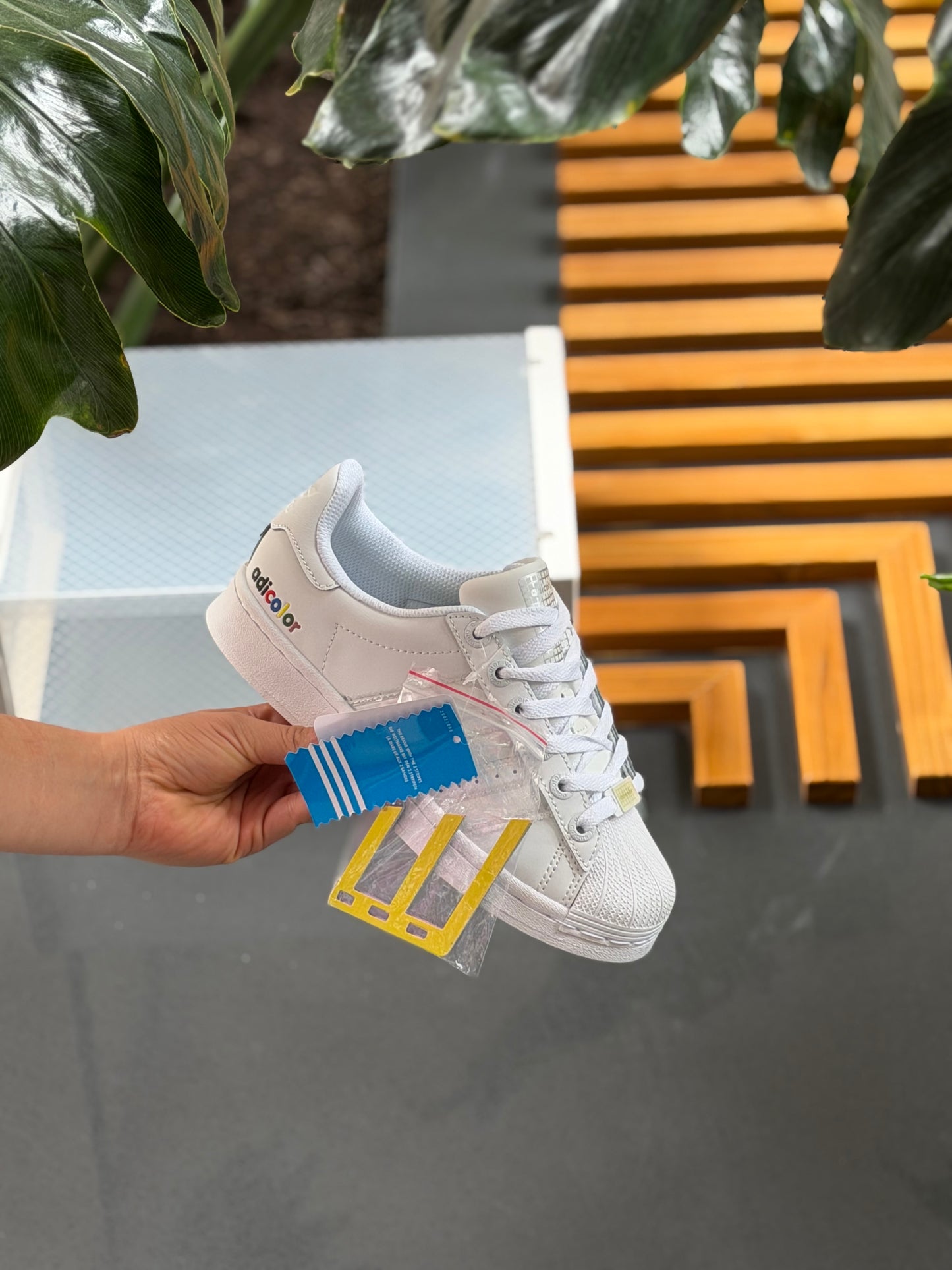 Adidas Super Star “Adicolor”