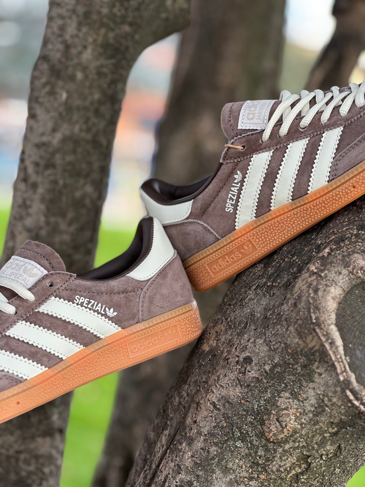 Adidas Spezial Eart Strata