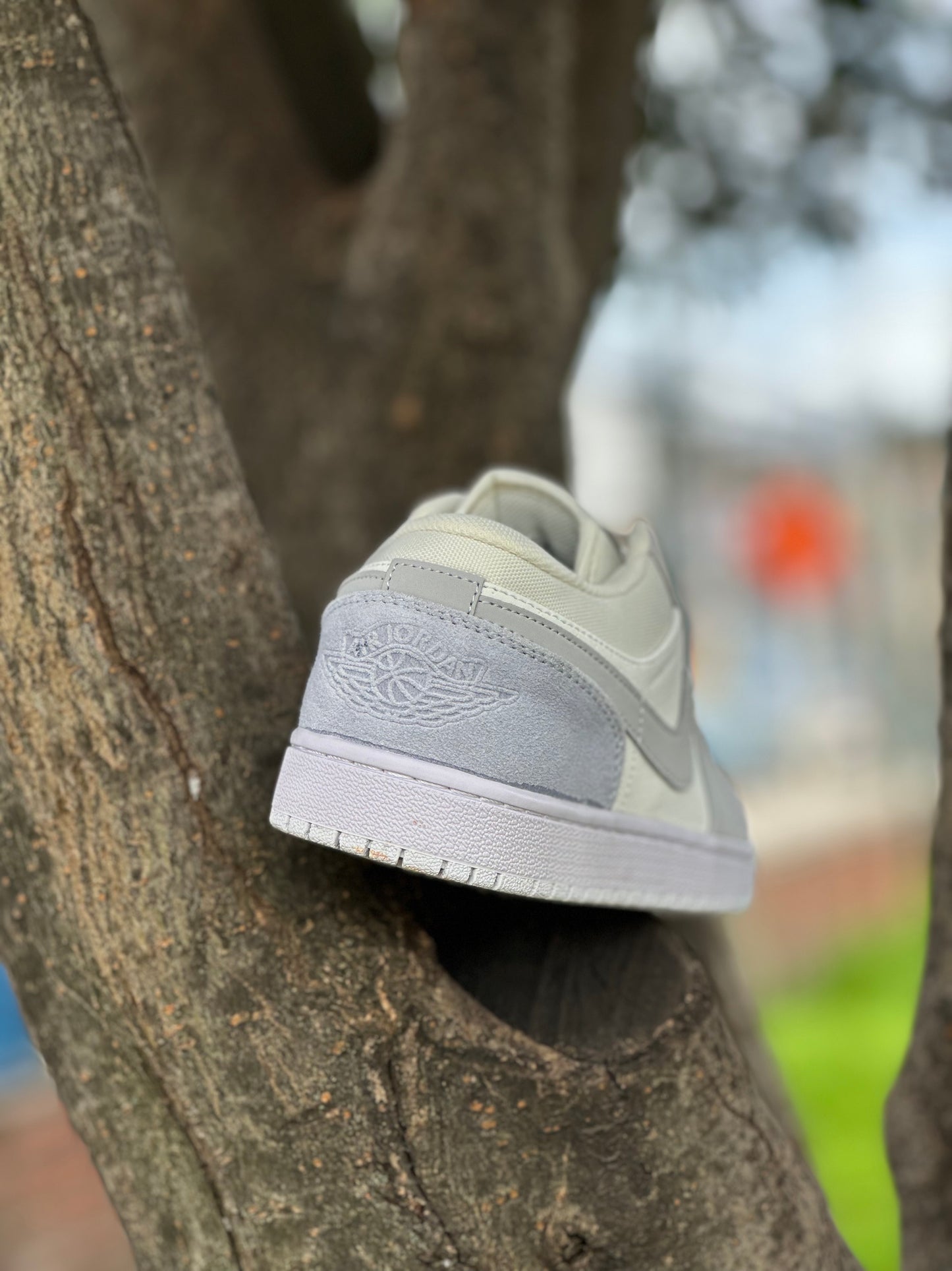 Air Jordan 1 Low Paris