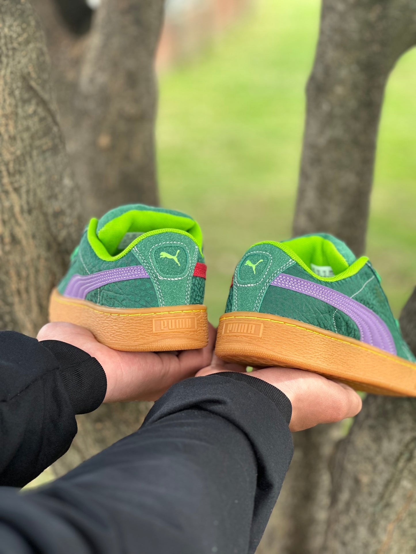 Puma X Tortuga Ninja XL