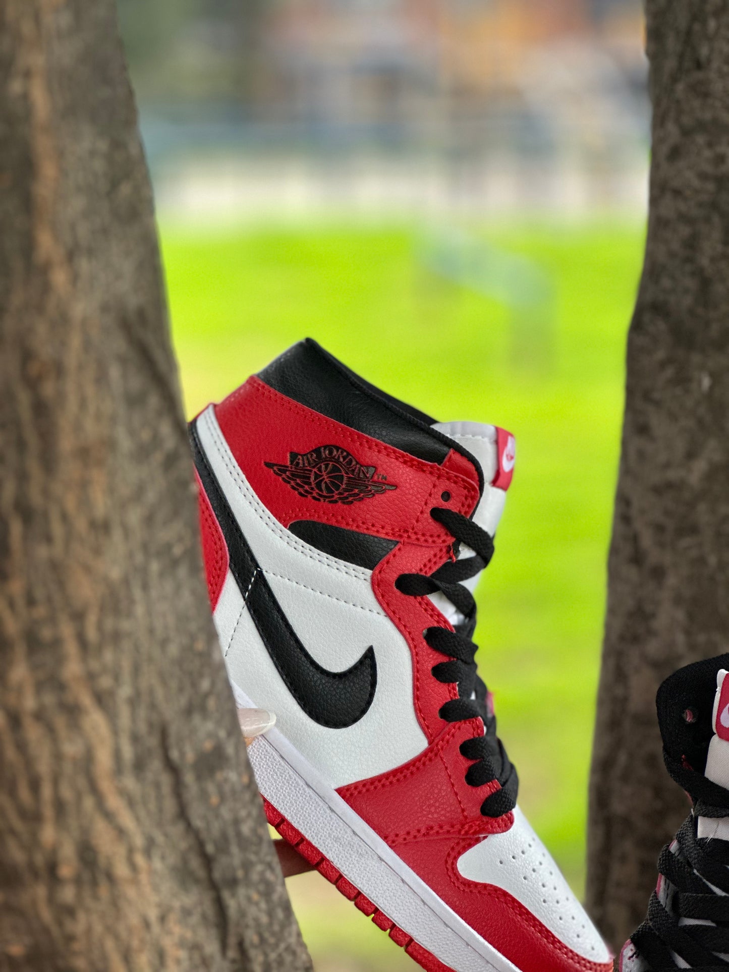 Nike Air Jordan Retro 1