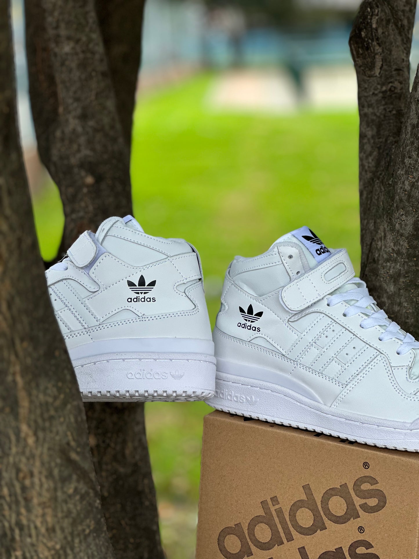 Adidas Fórum 84 High