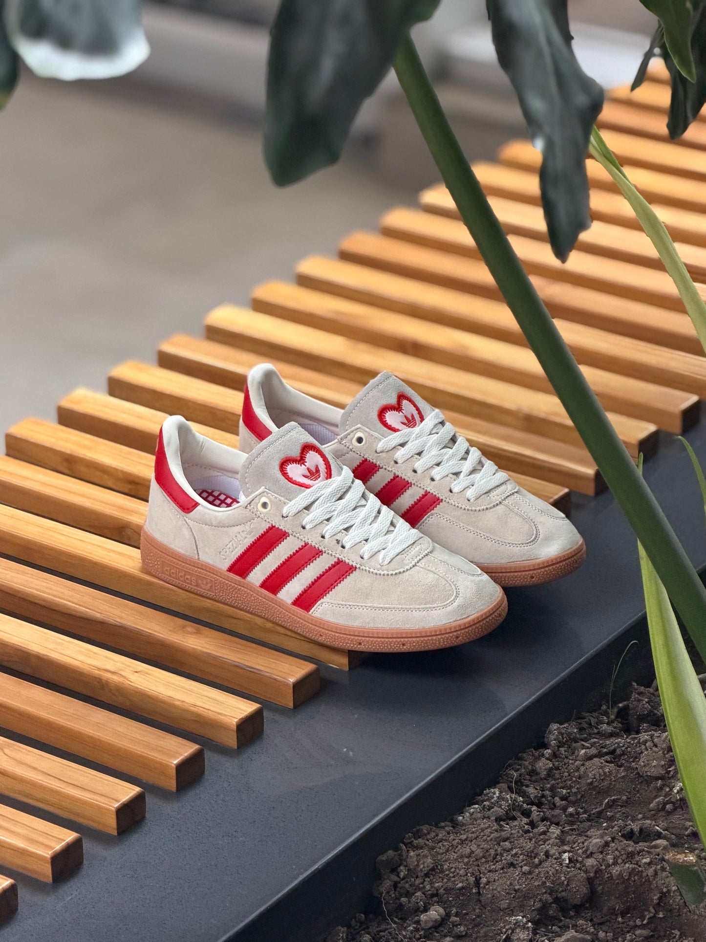 Spezial Valentín Days