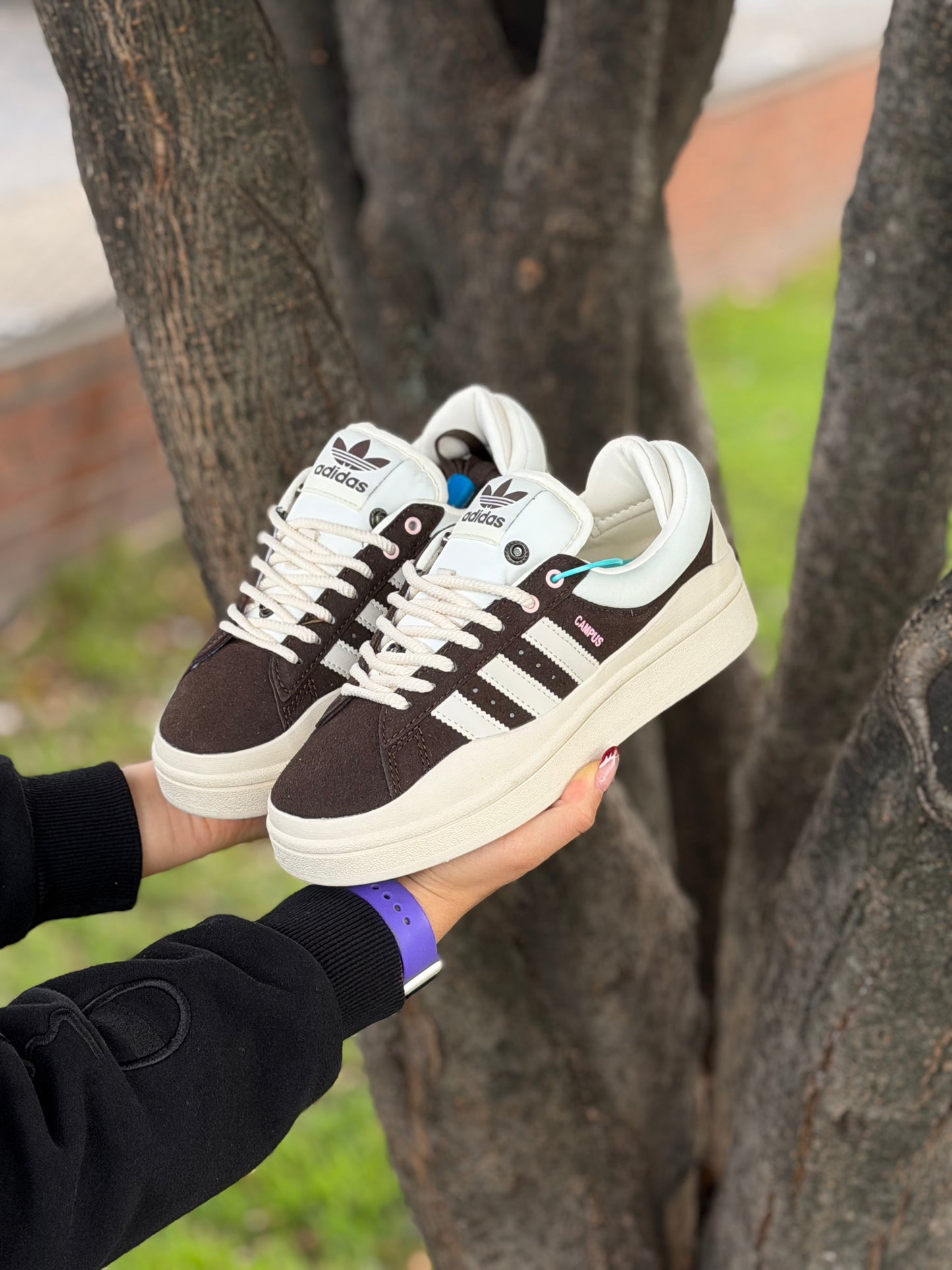 Adidas Campus X Bad Bunny