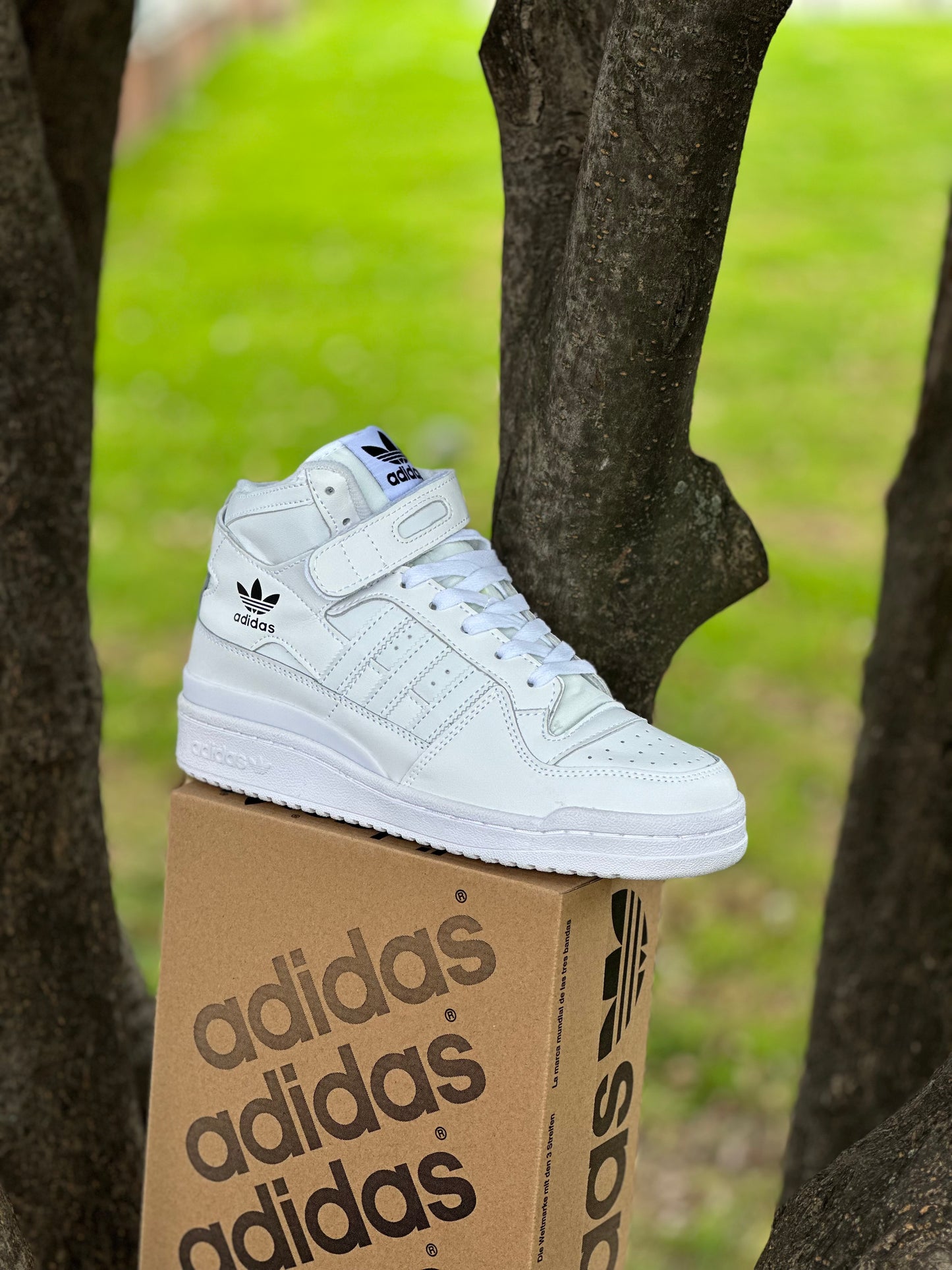 Adidas Fórum 84 High