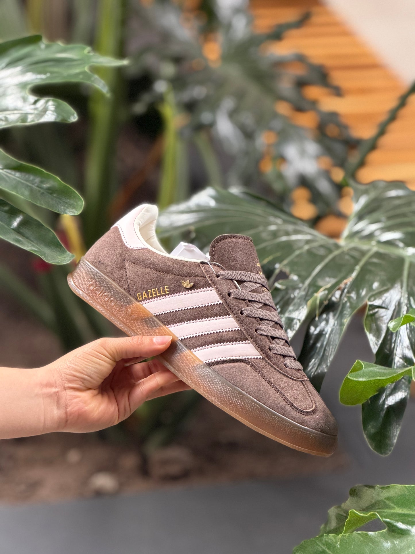 Adidas Gazelle Indoor Marrón