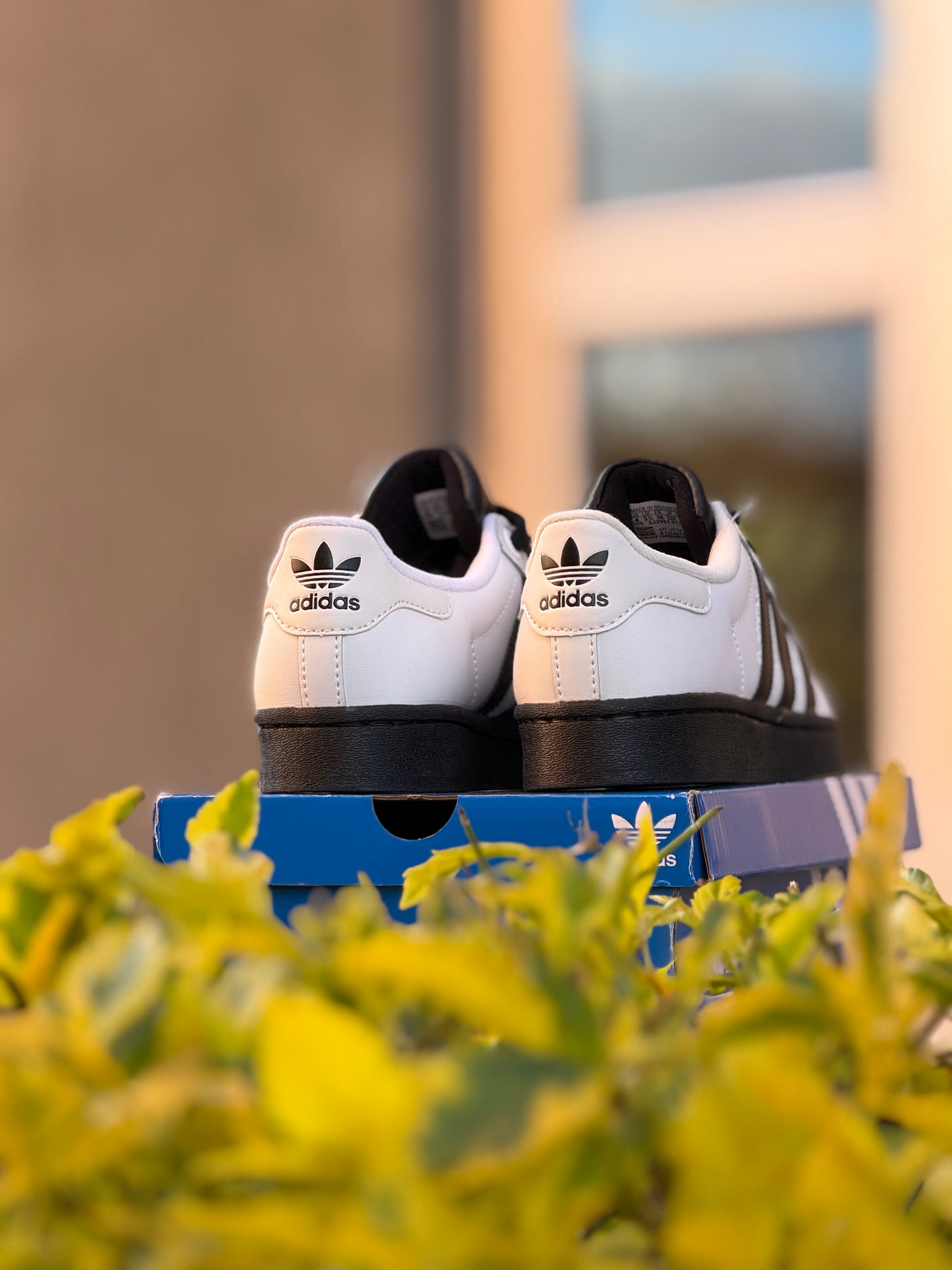 Adidas Súperstar ll White/Black