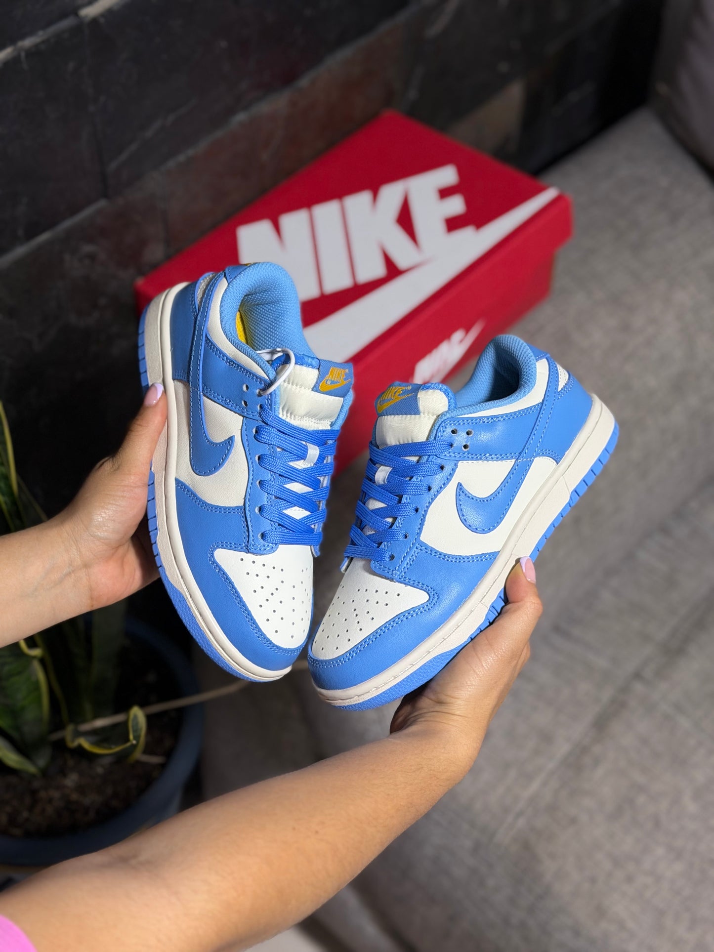 Nike Dunk Low Retro