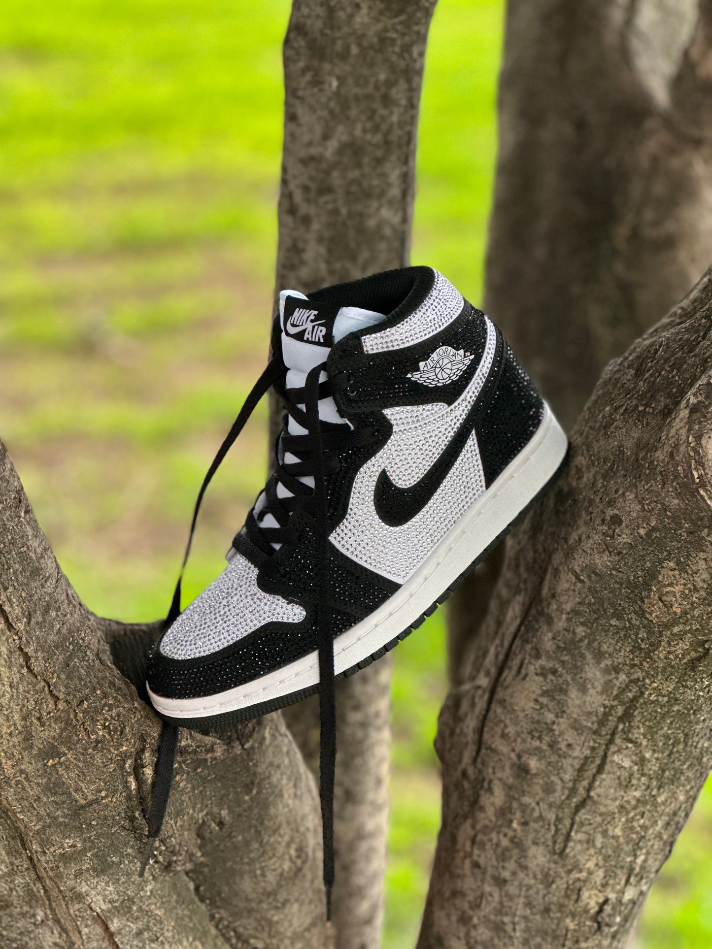 Air Jordan Retro 1