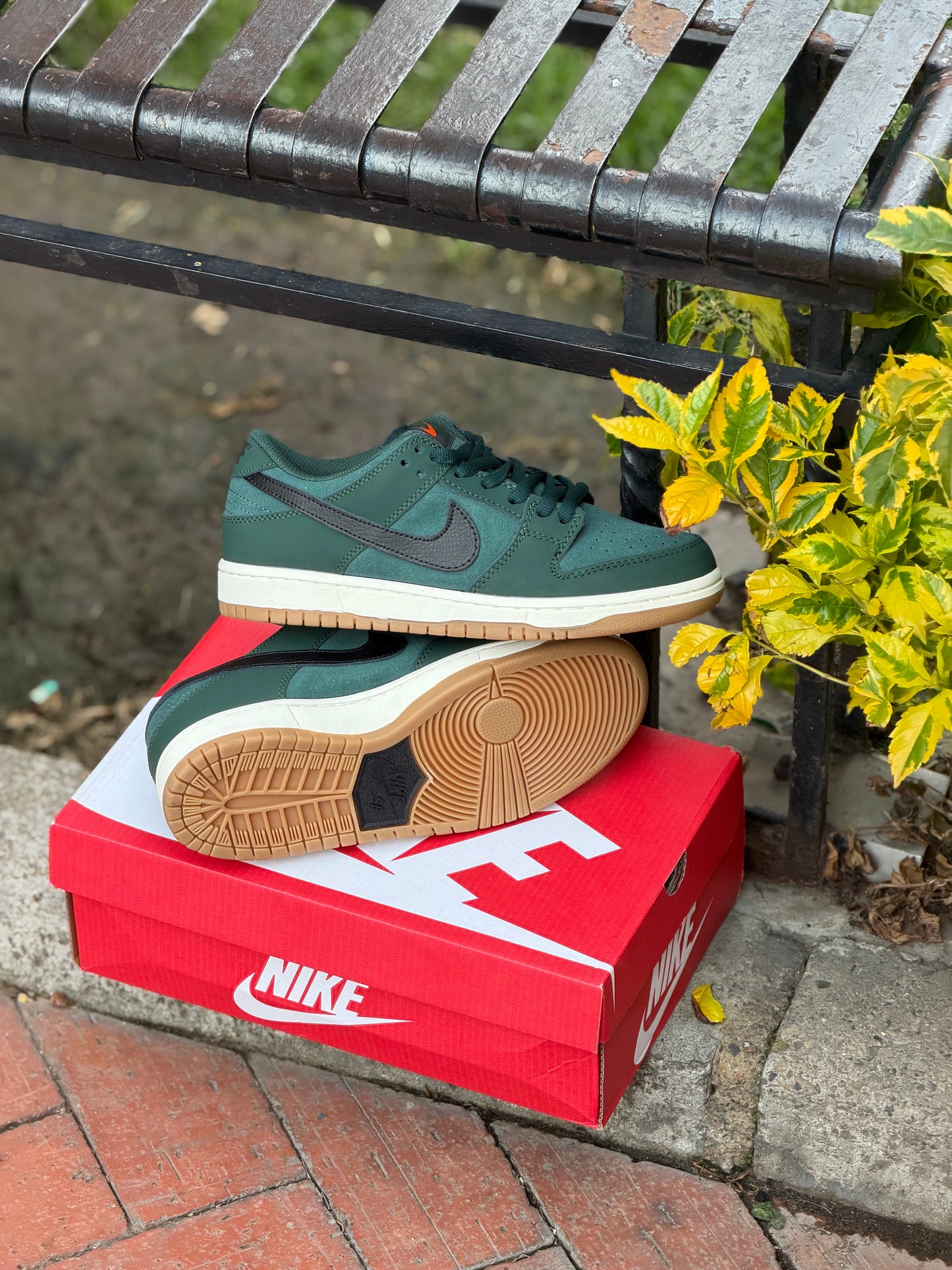 Nike Sb Dunk Low Pro Iso