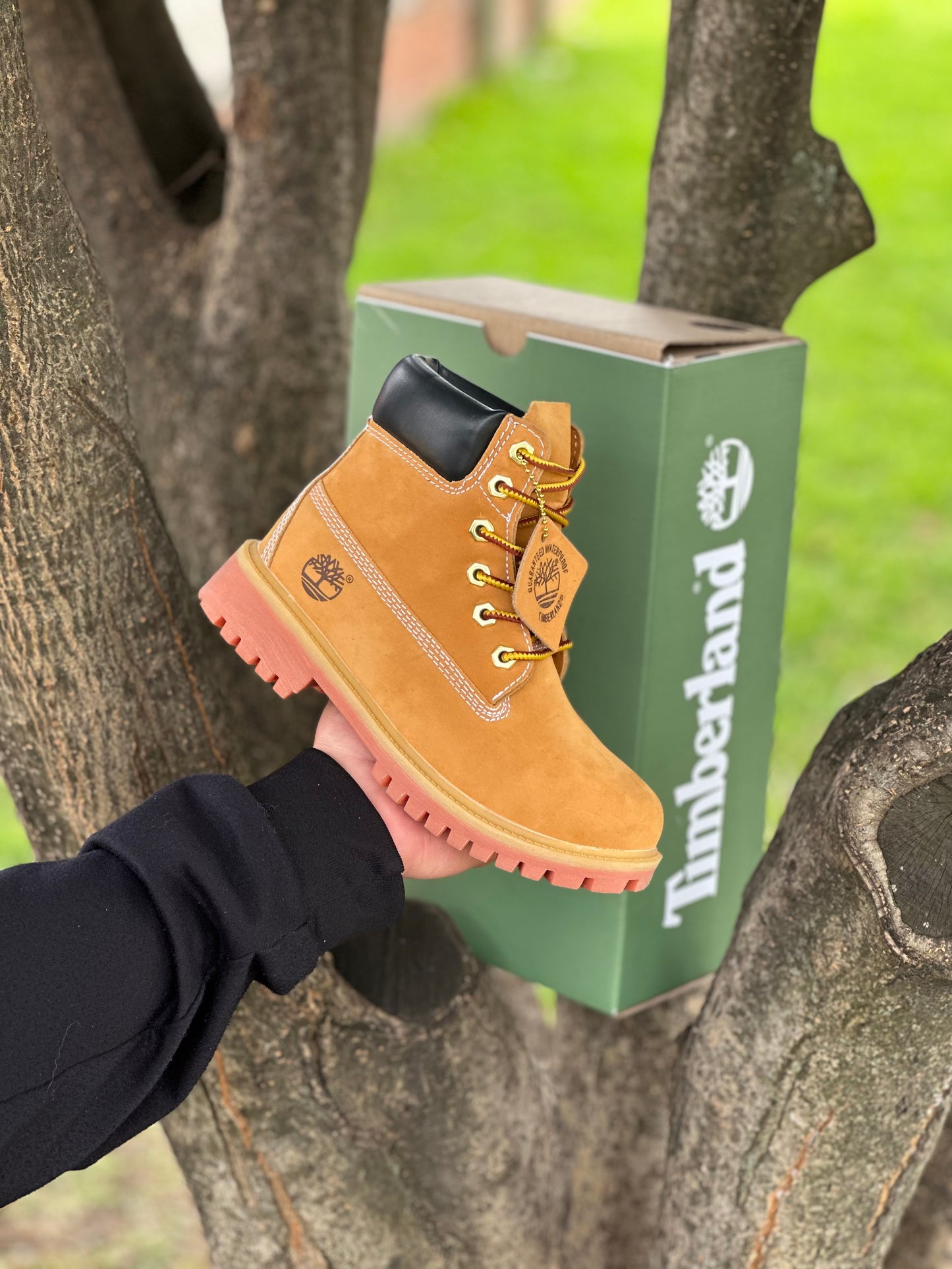 Timberland