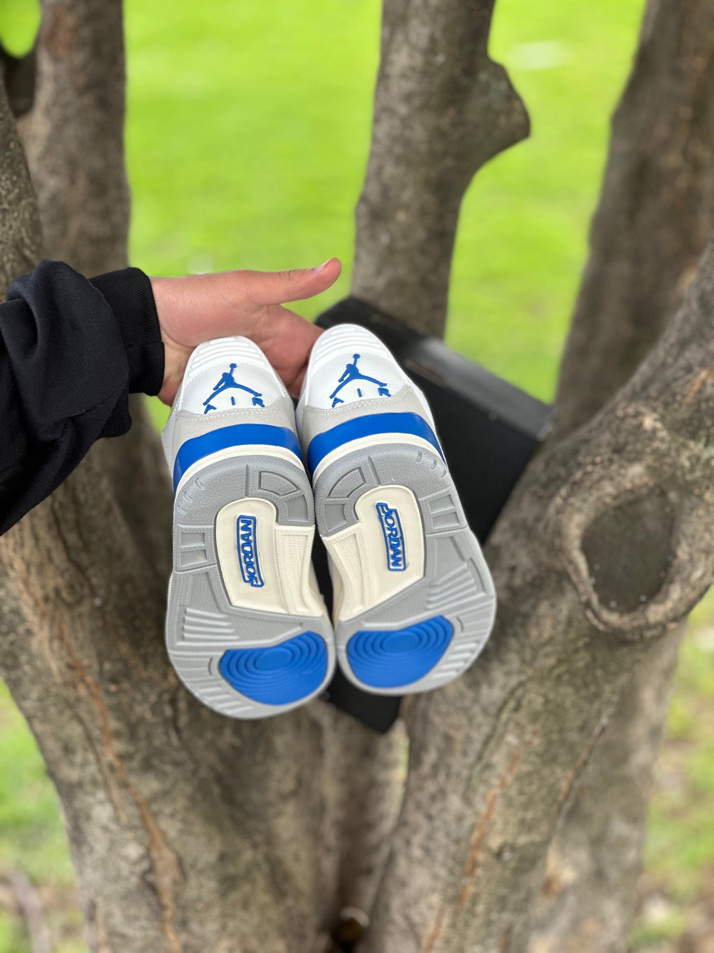 Air Jordan 3 Lucky Shorts