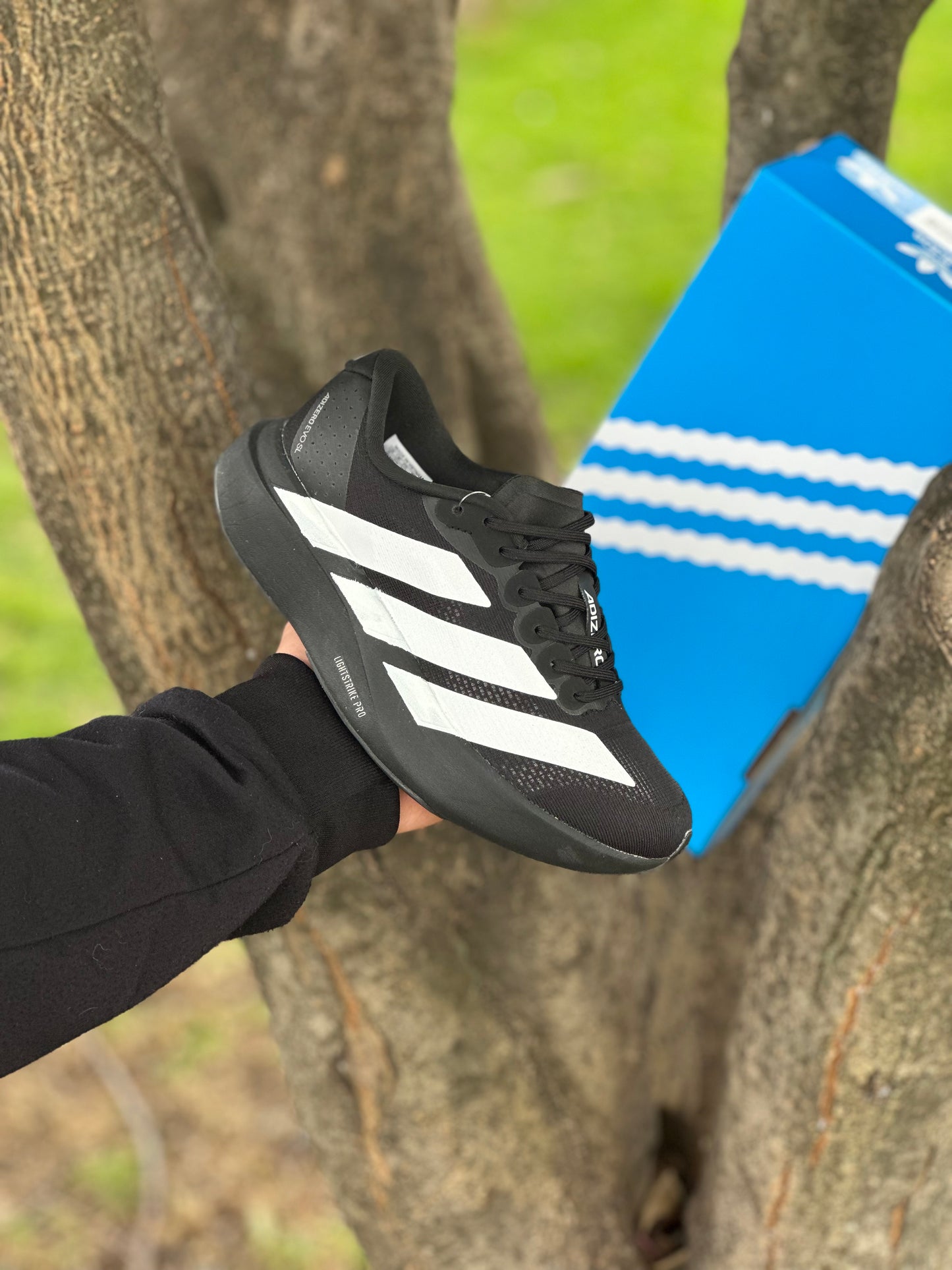 Adidas Adizero Evo SL