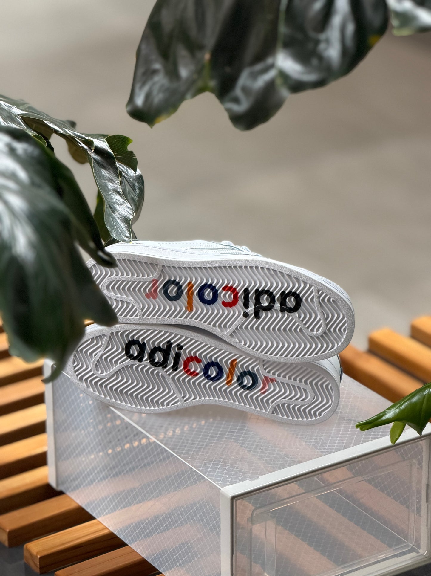 Adidas Super Star “Adicolor”