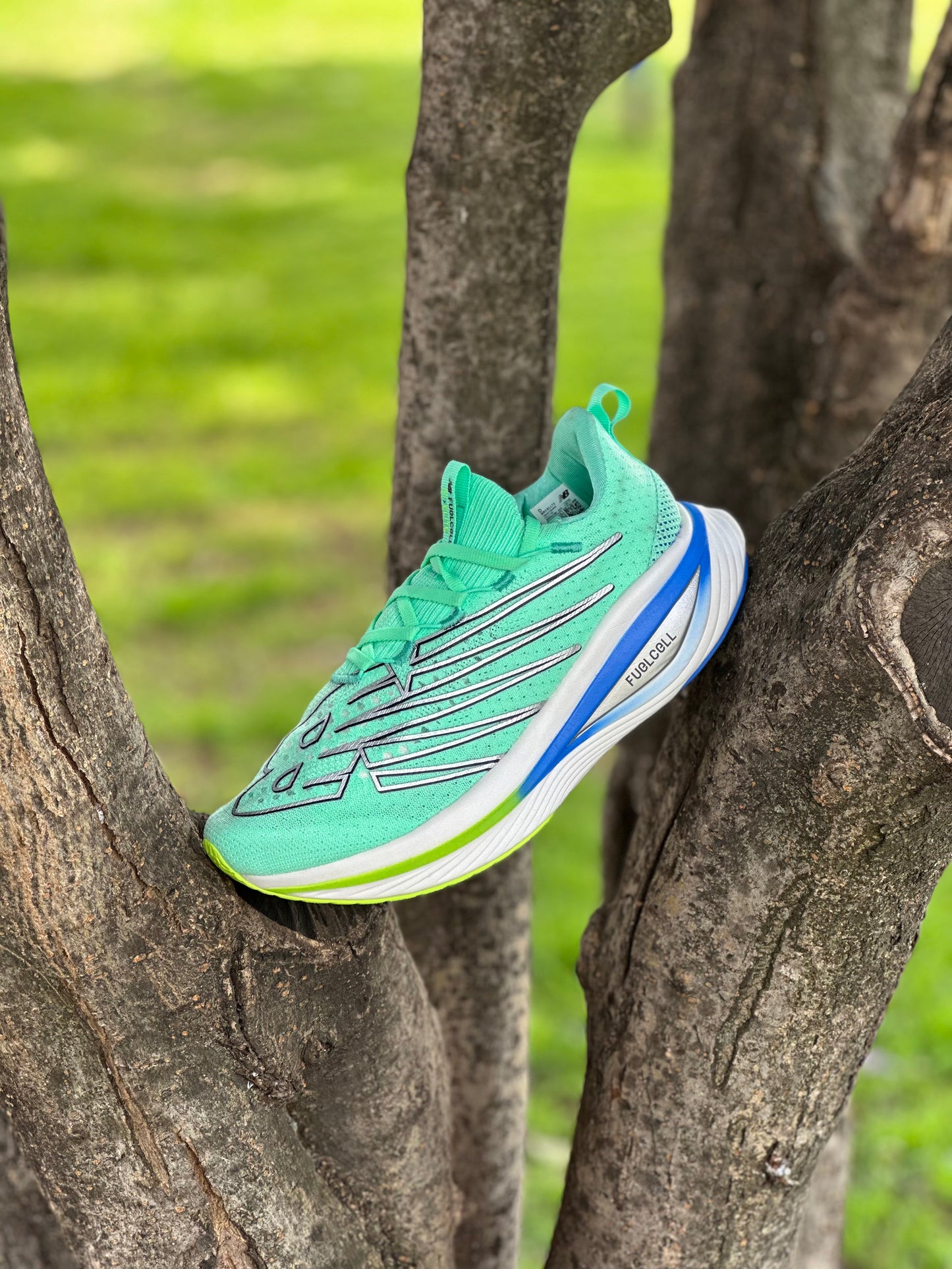 New Balance FuelCell Élite-V3