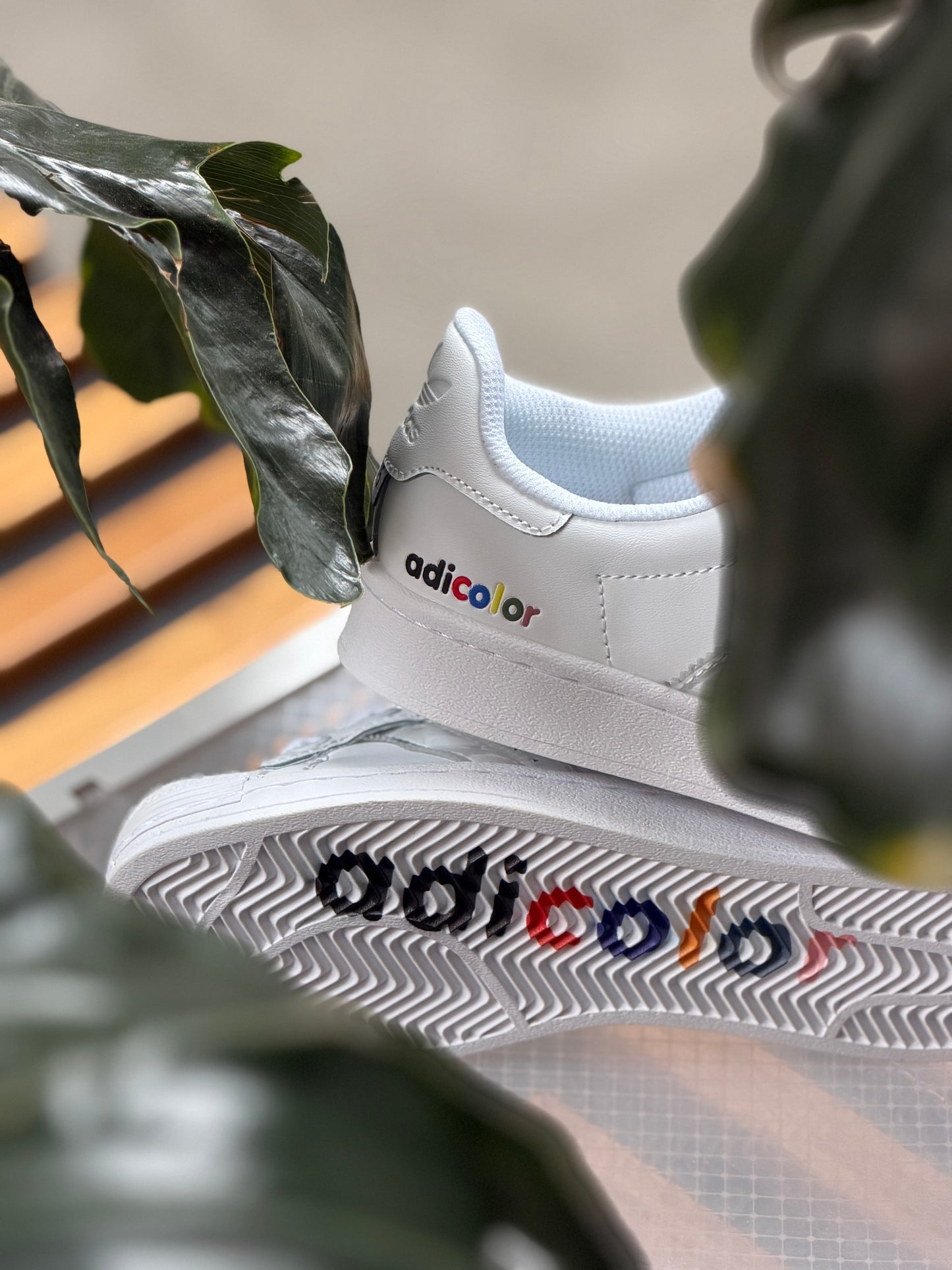 Adidas Super Star “Adicolor”