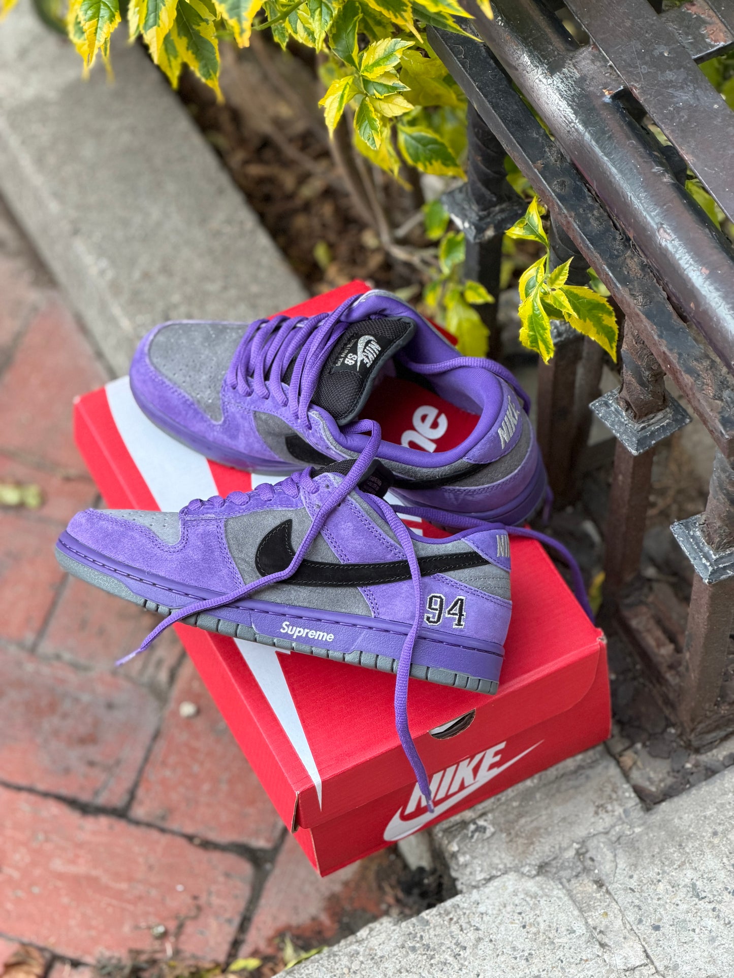 Nike Dunk Low Supreme