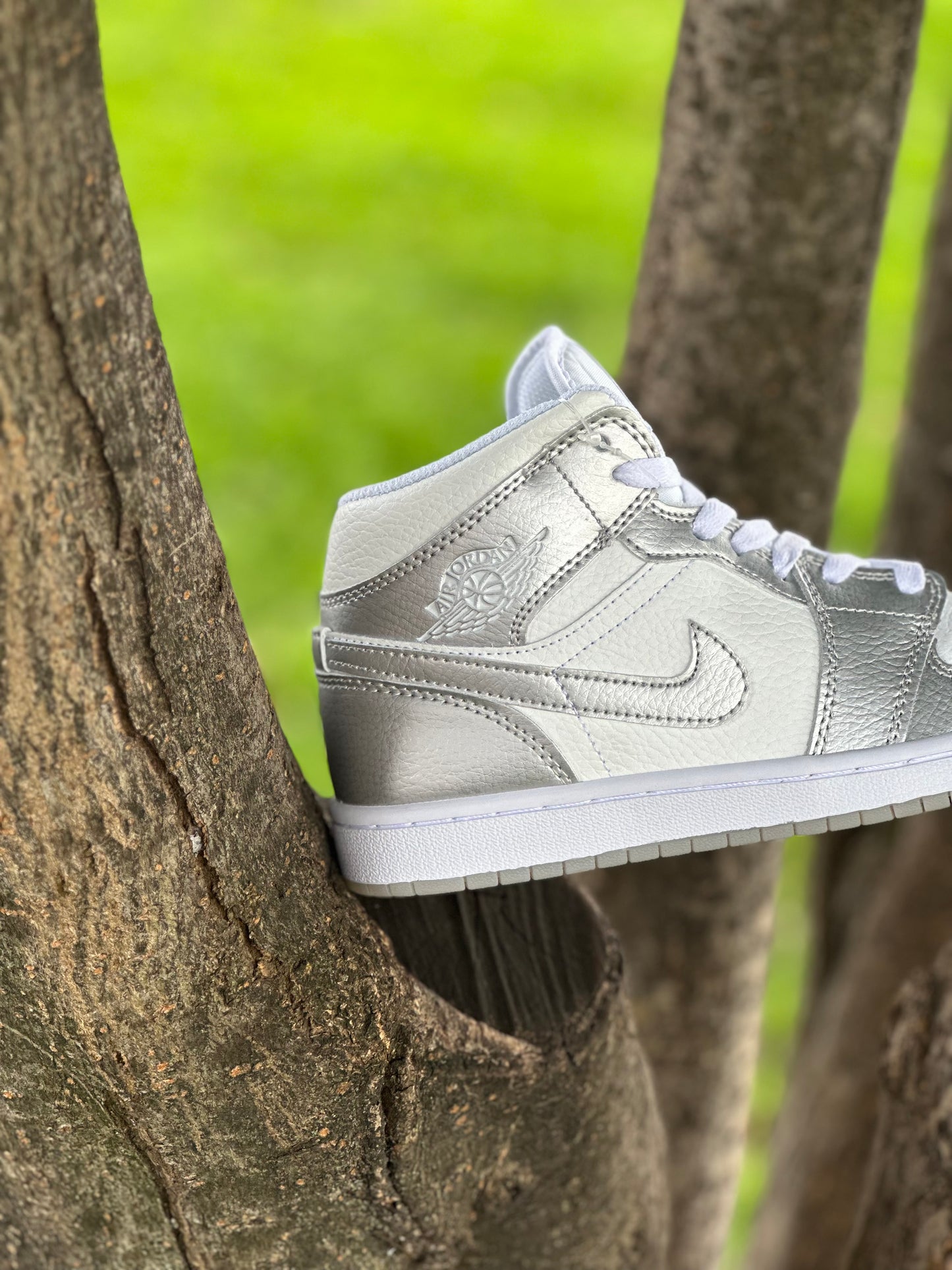 Nike Air Jordan 1 Metallic