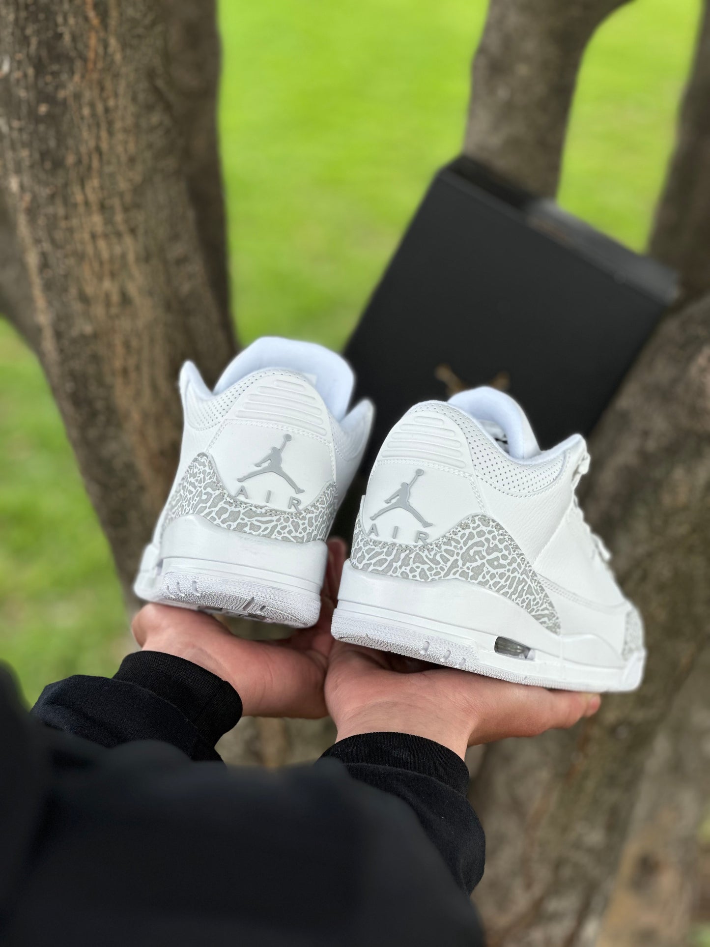 Air Jordan Retro 3 X White