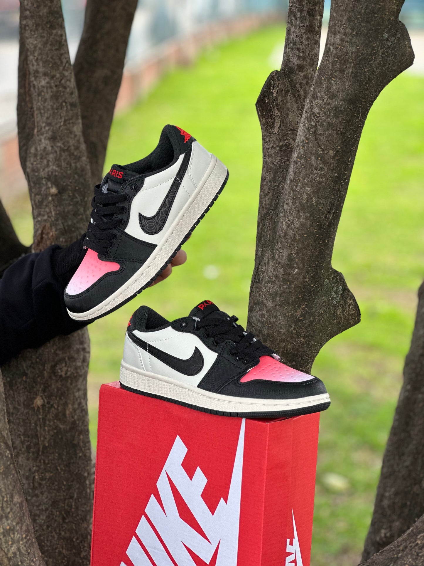 Air Jordan 1 Low Paris Saint-Germain