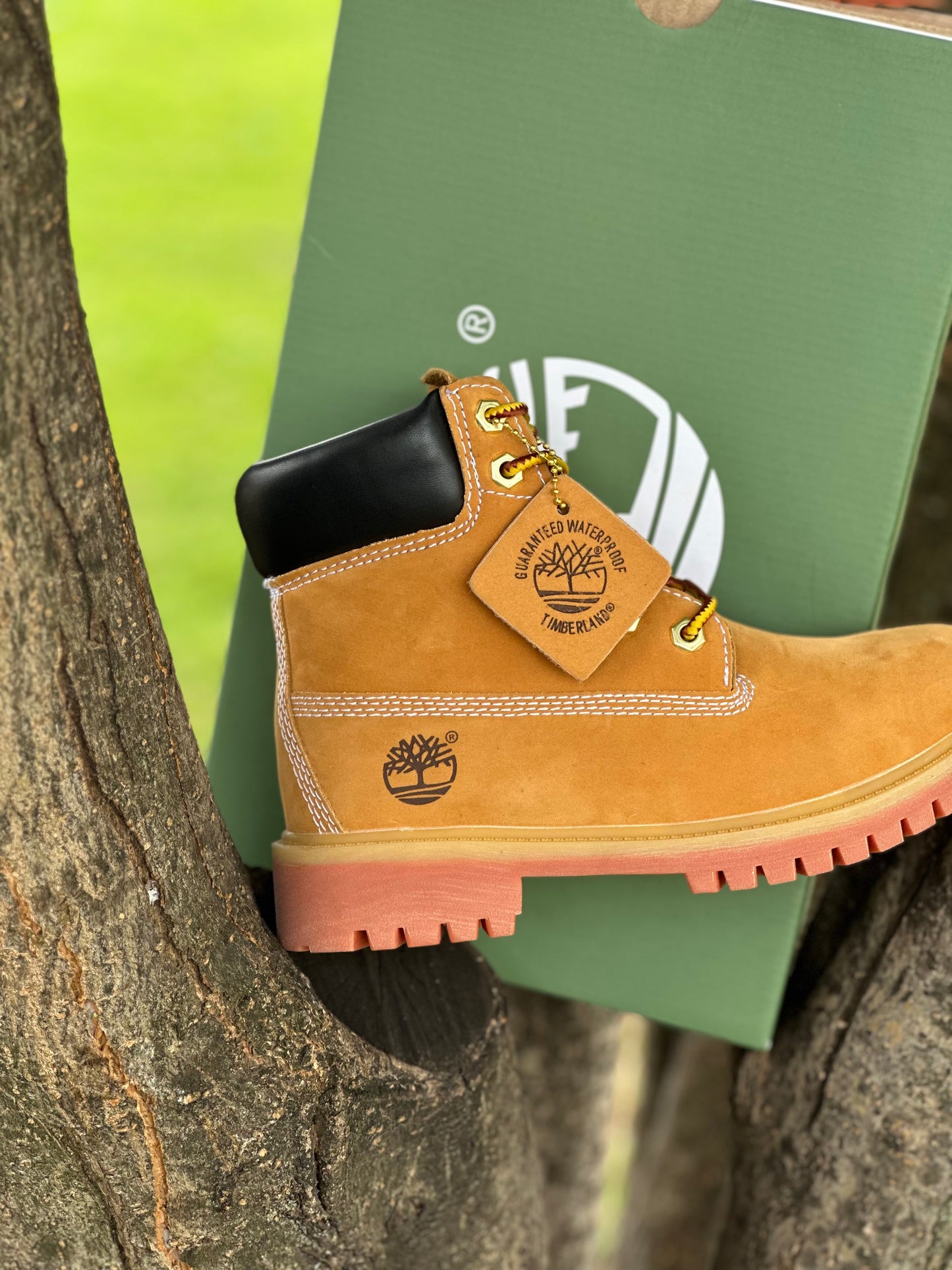 Timberland