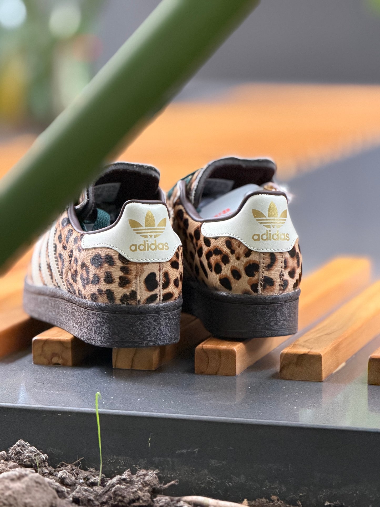 Adidas súper Star ll Leopard