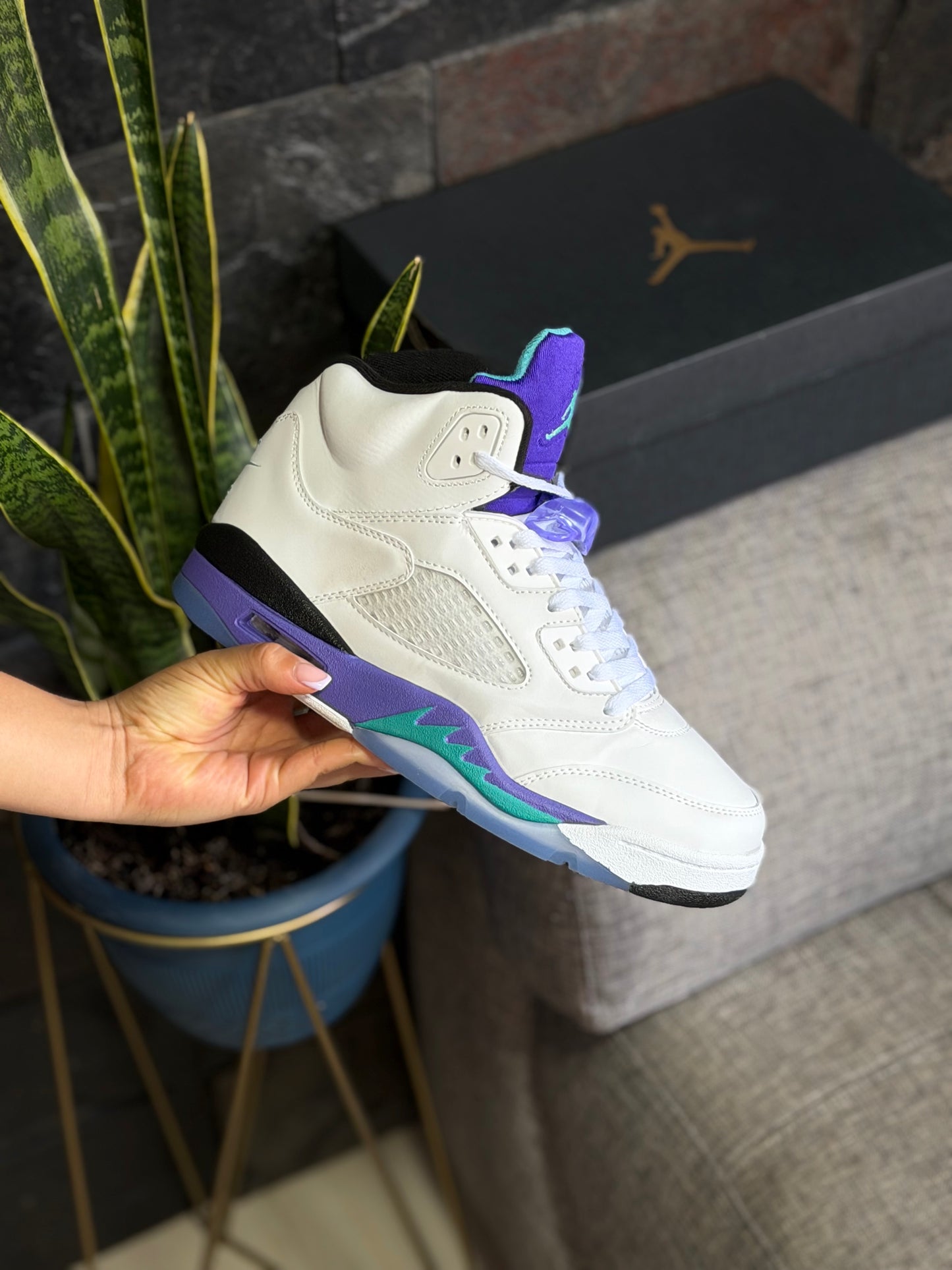 Air Jordan Retro 5 Grape | Broken Chains