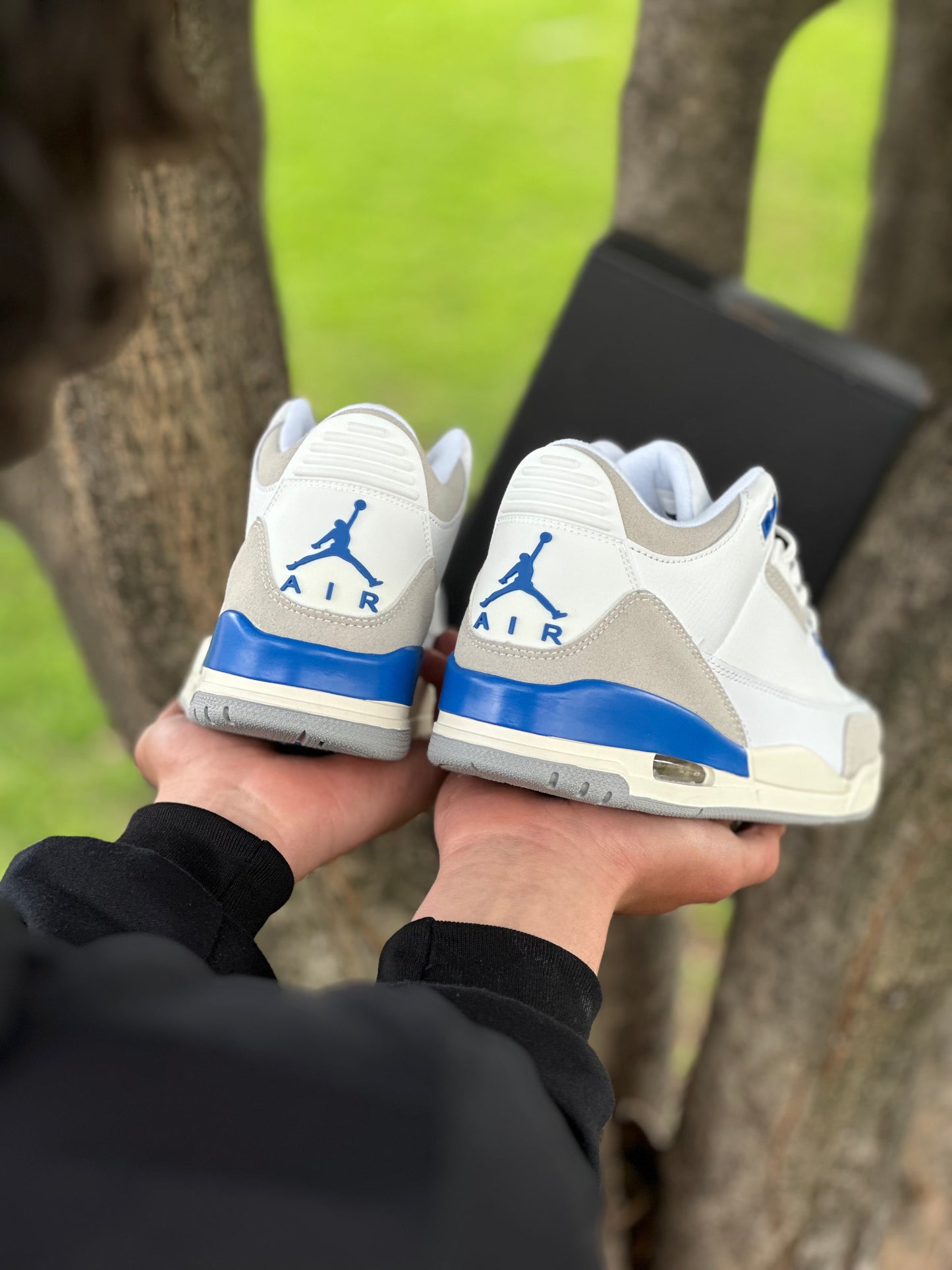 Air Jordan 3 Lucky Shorts