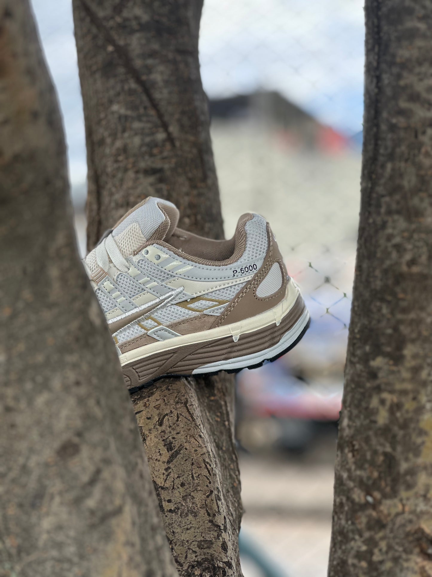Nike P-6000 Premium Beige