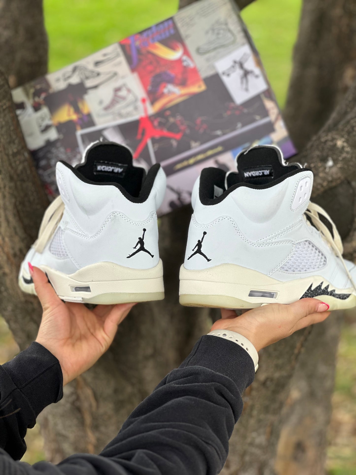 Air Jordan Retro 5 Sail