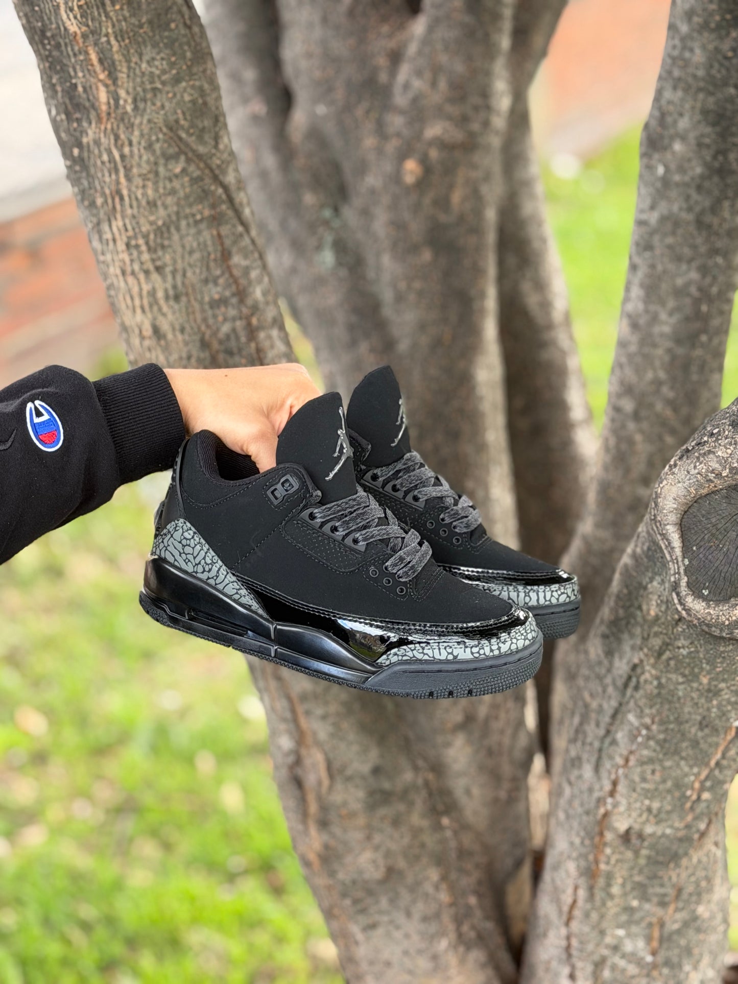 Air Jordan Retro 3 Black Cat
