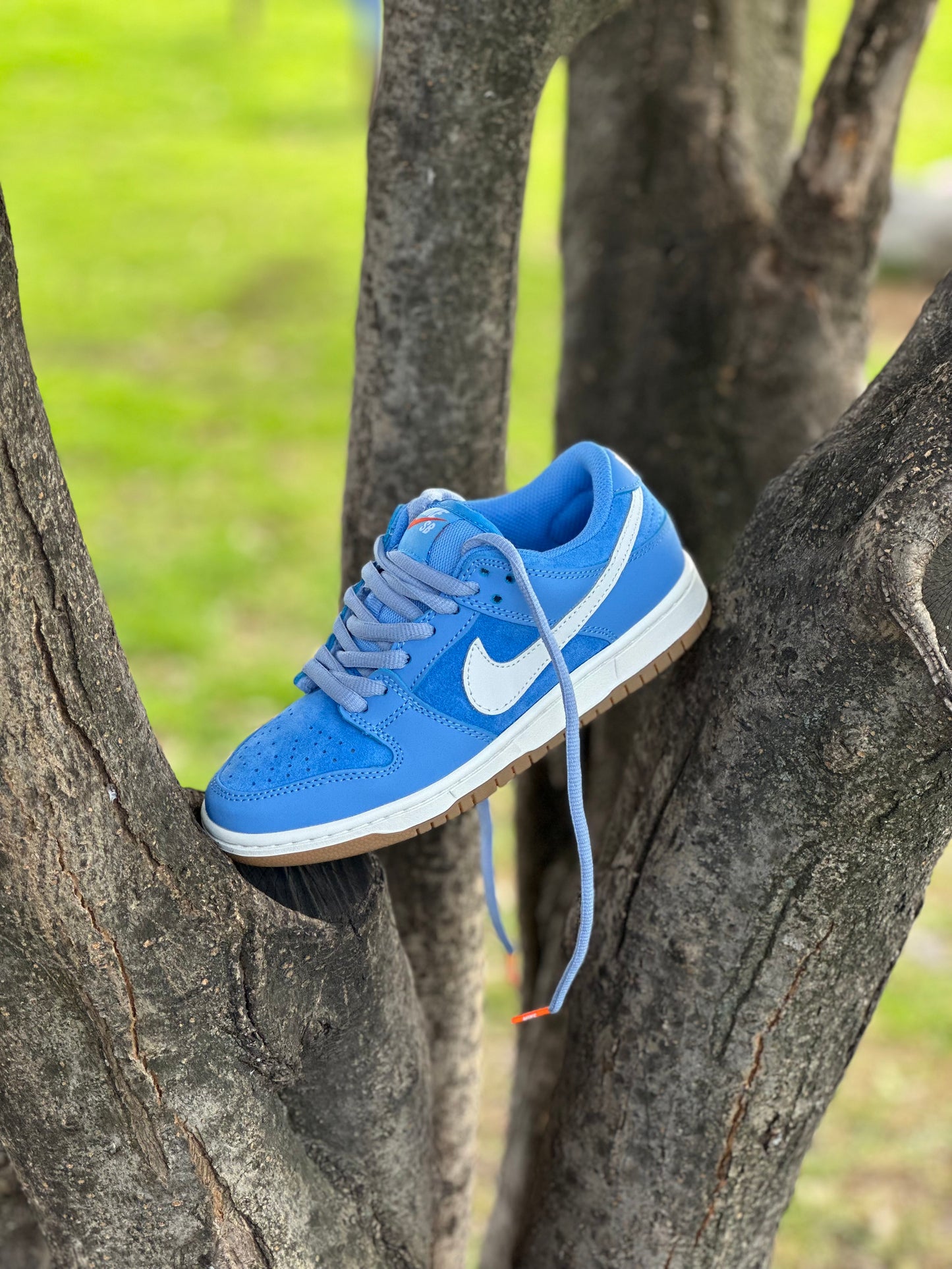Nike Dunk Low Pro University Blue
