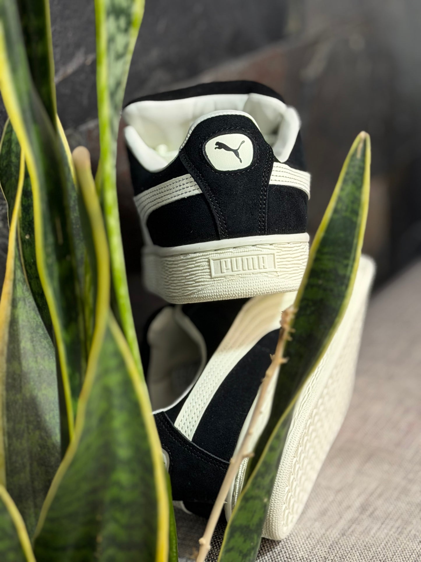 Puma XL Suede